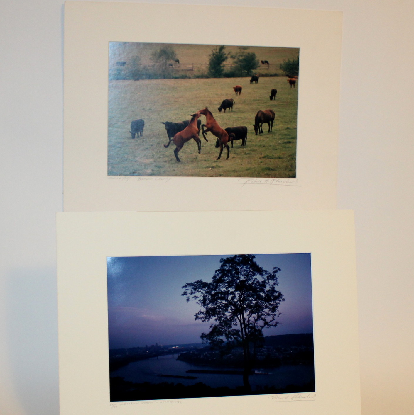 Two Photographic Prints By Robert Flischel