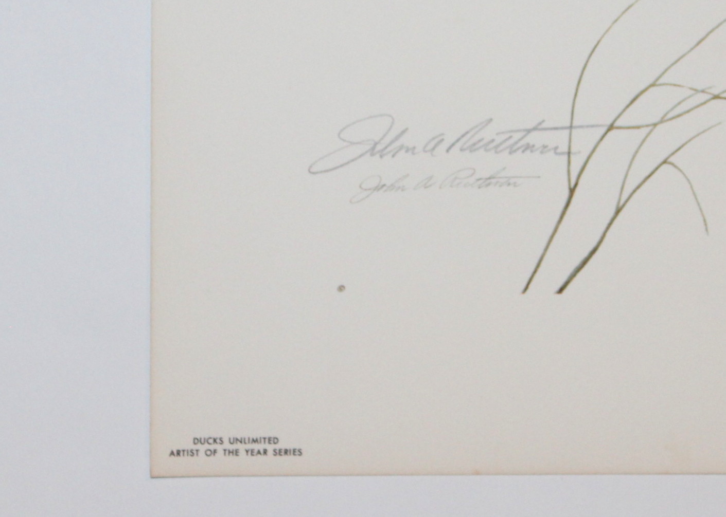 Print of John Ruthven's "Oakgrove Pintails"