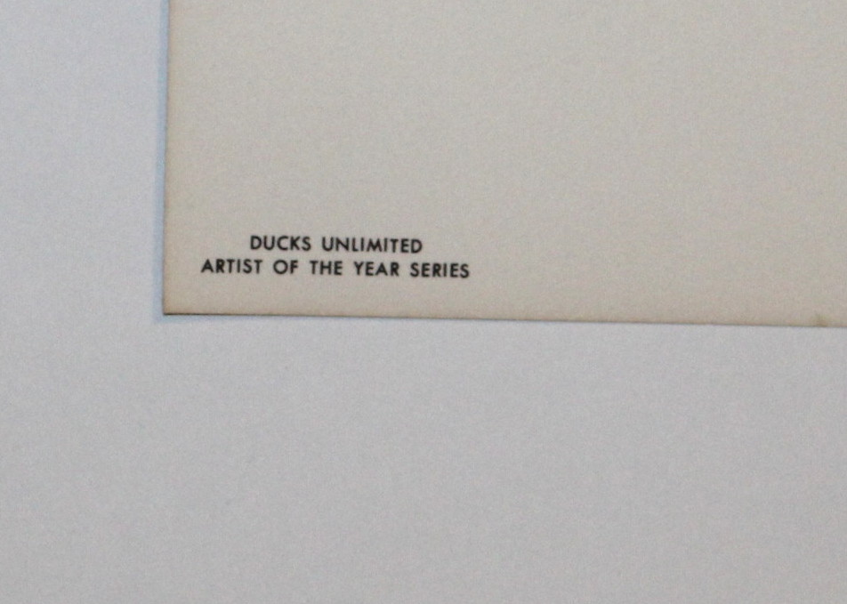 Print of John Ruthven's "Oakgrove Pintails"