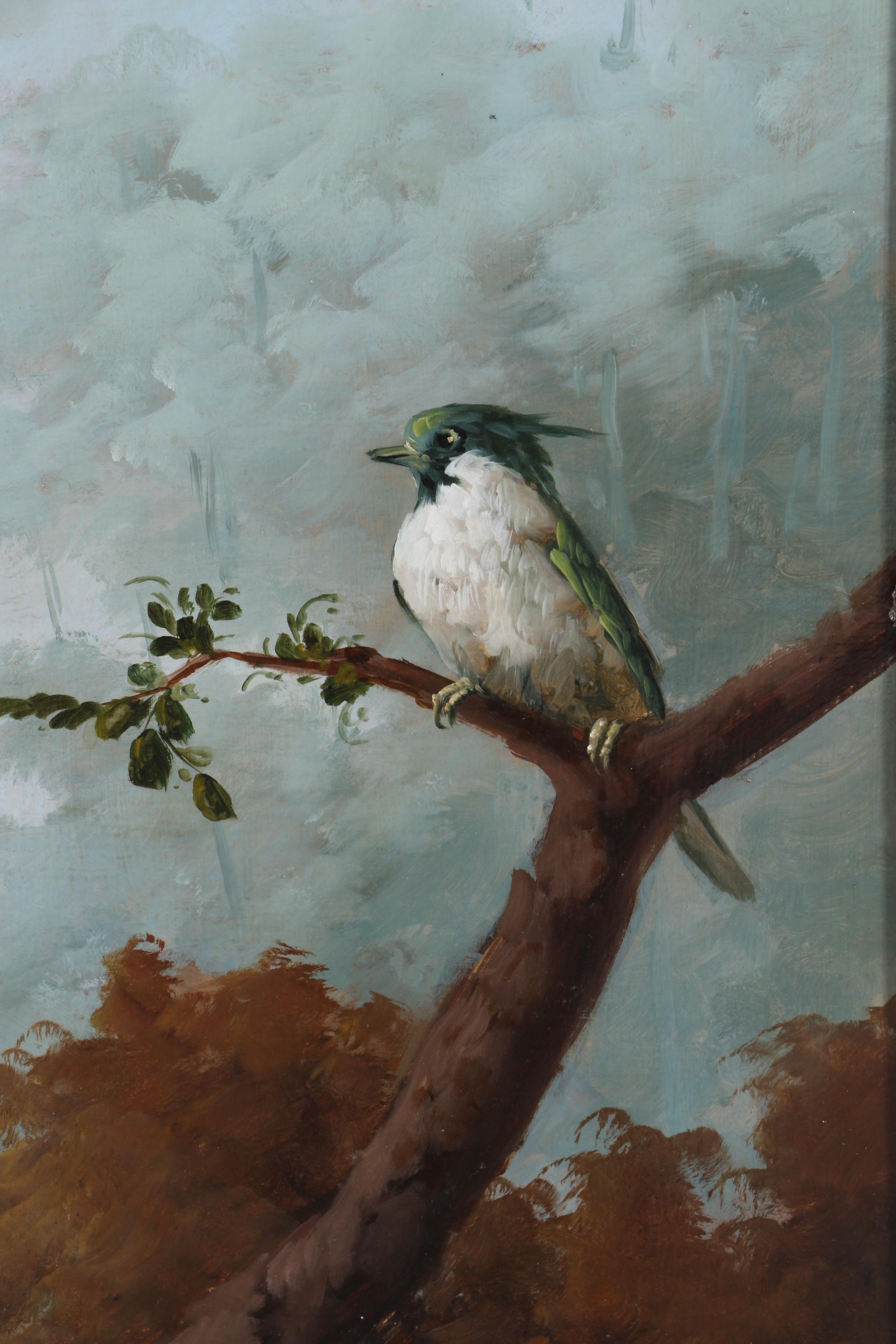 Jeannine Albert Oil Painting on Canvas of Exotic Birds