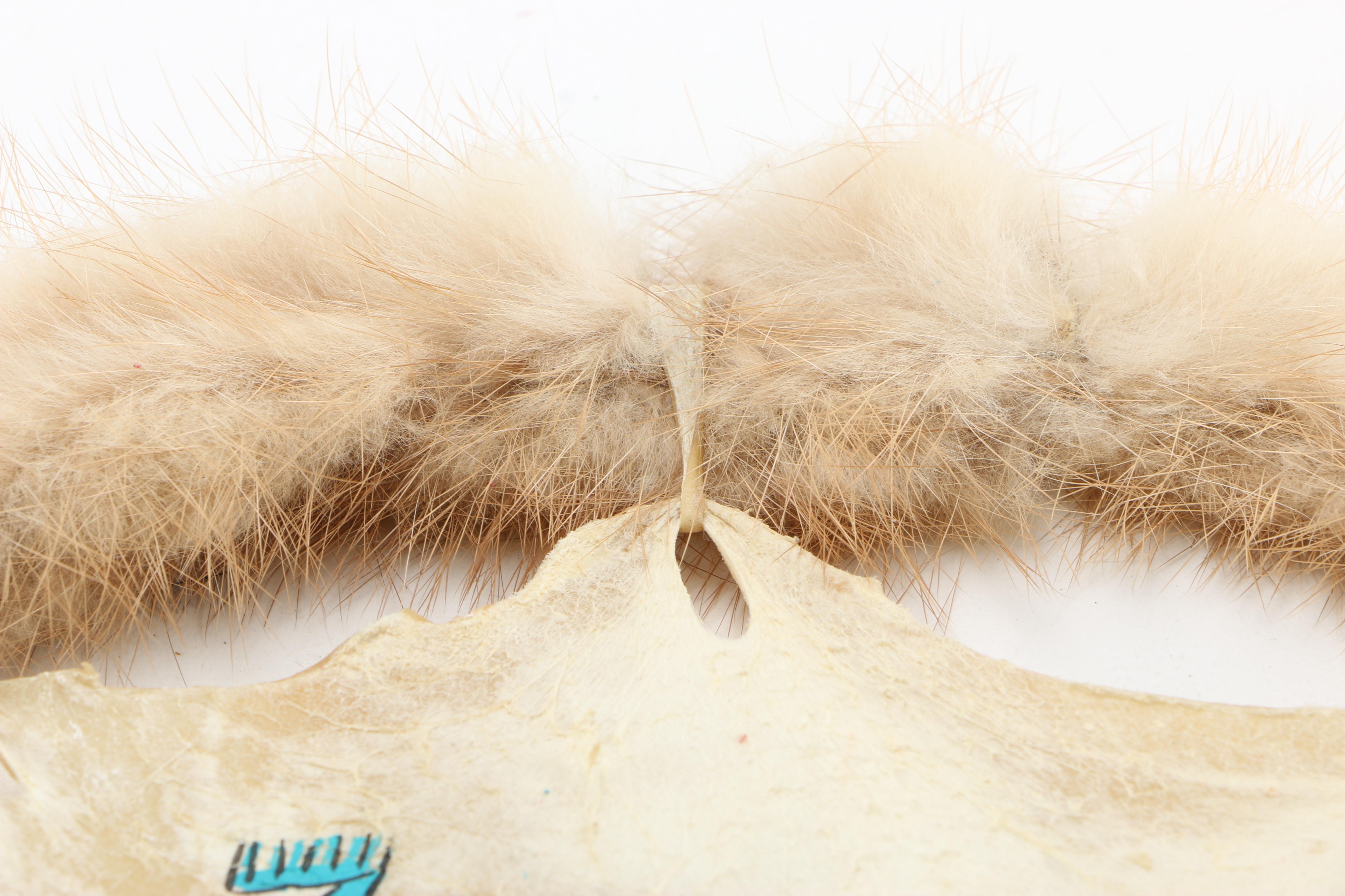 Southwestern Style Decor