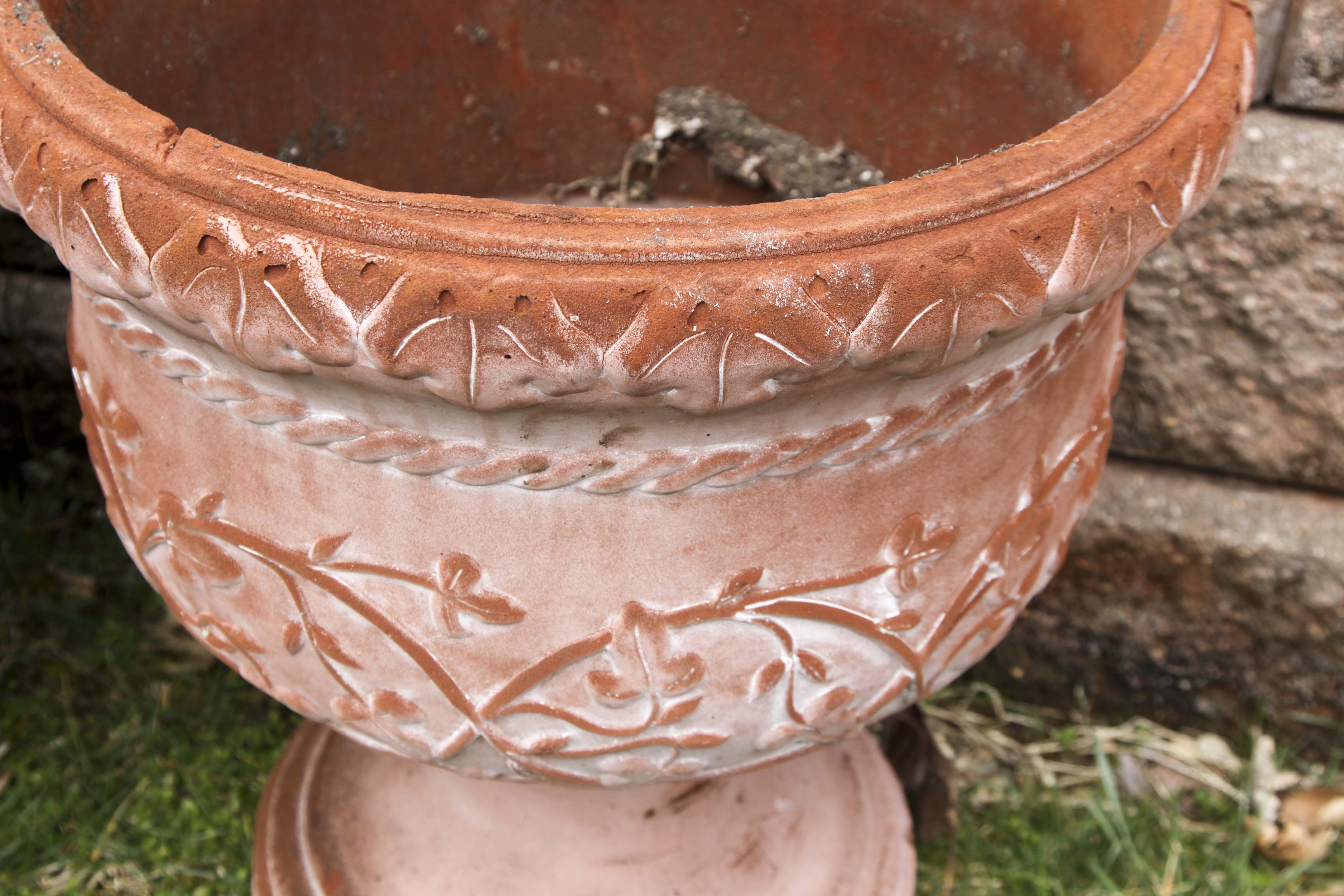 A Group of Outdoor Planters