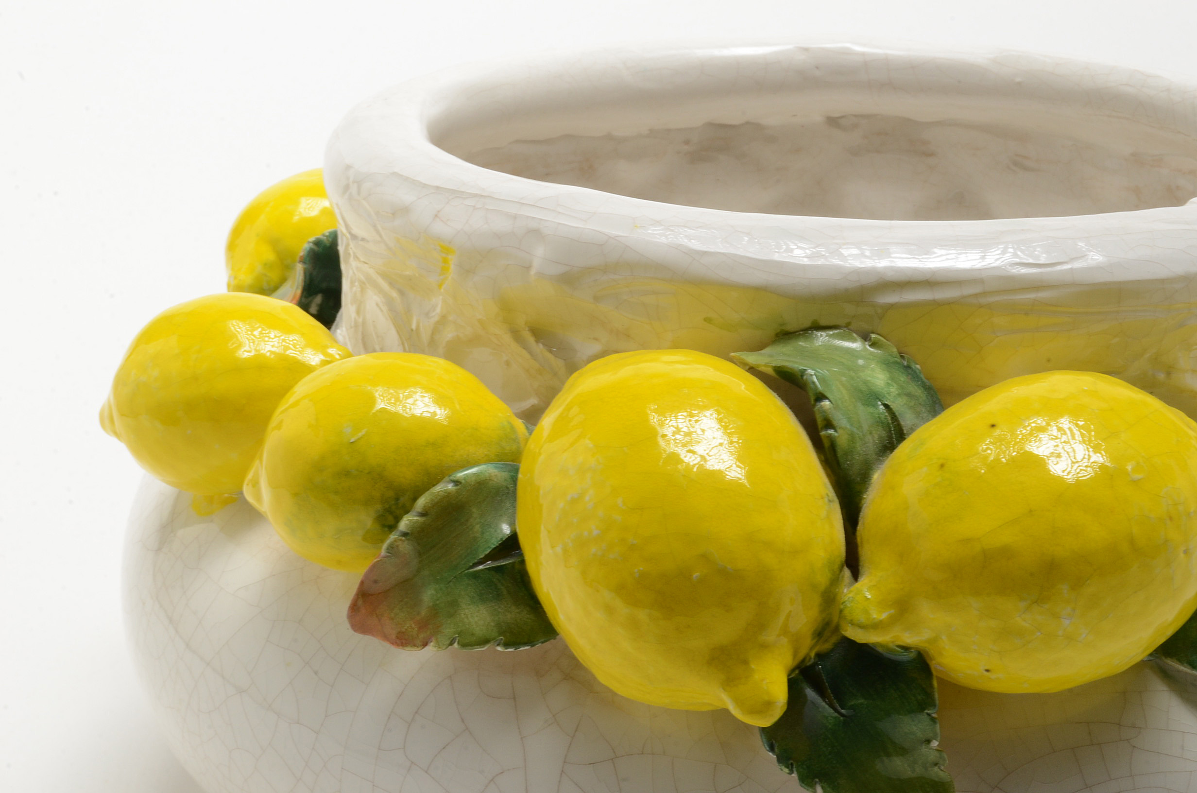 White Ceramic Bowl with Lemons