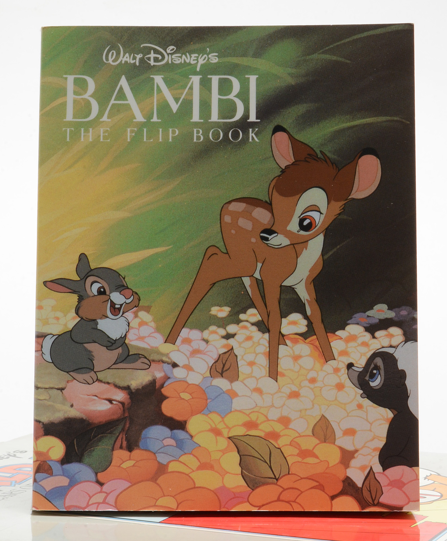 Disney Animation Books Including 1958 "Walt Disney: The Art of Animation"