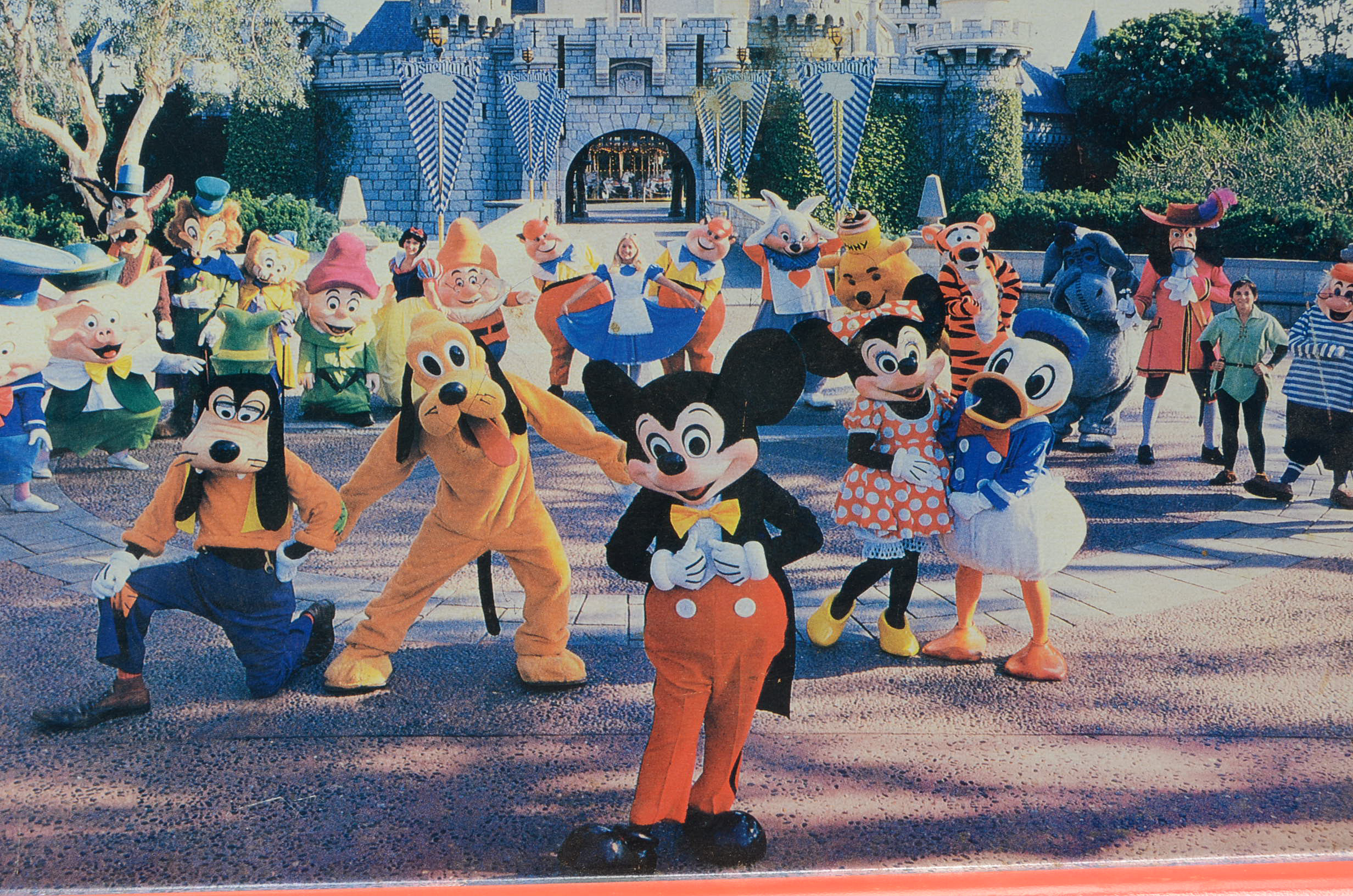 Disneyland Books and Décor Including Collector Plate