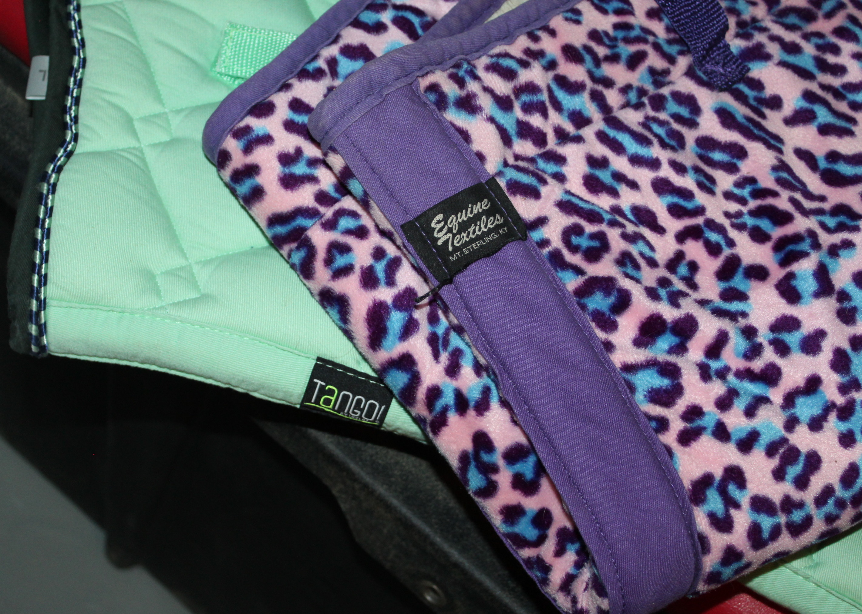 Equestrian Tack Trunk and Gear