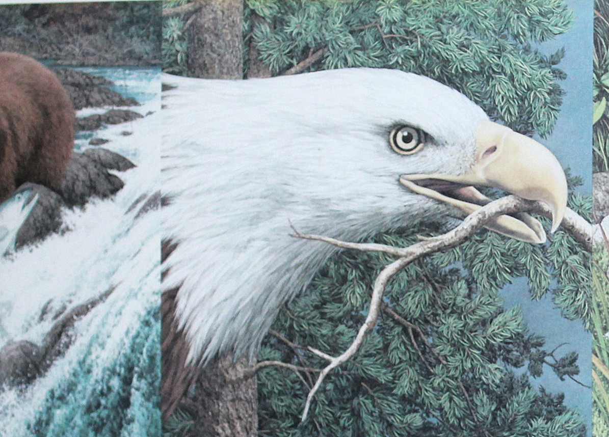 Framed Bev Doolittle Print "Sacred Circle"