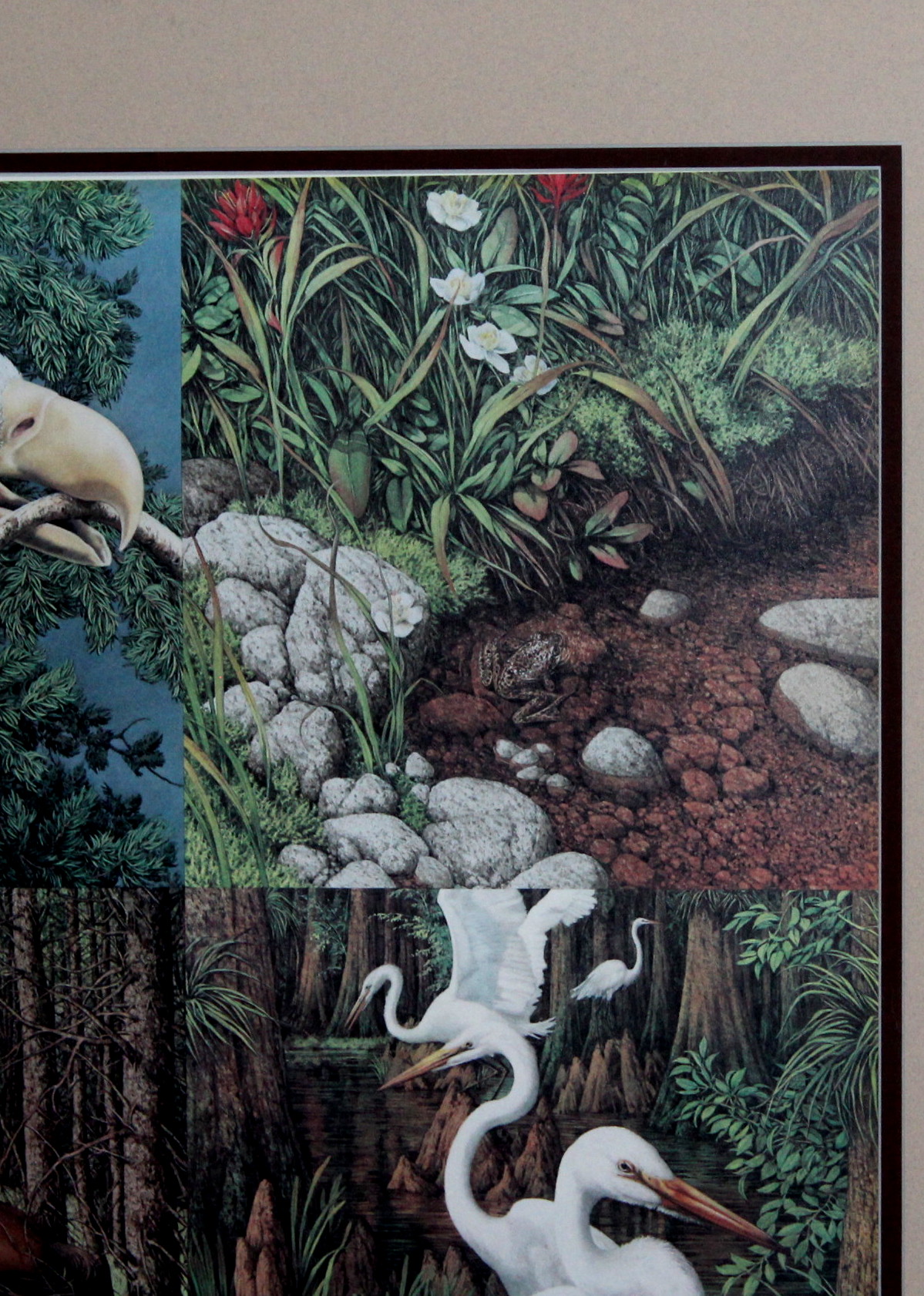 Framed Bev Doolittle Print "Sacred Circle"