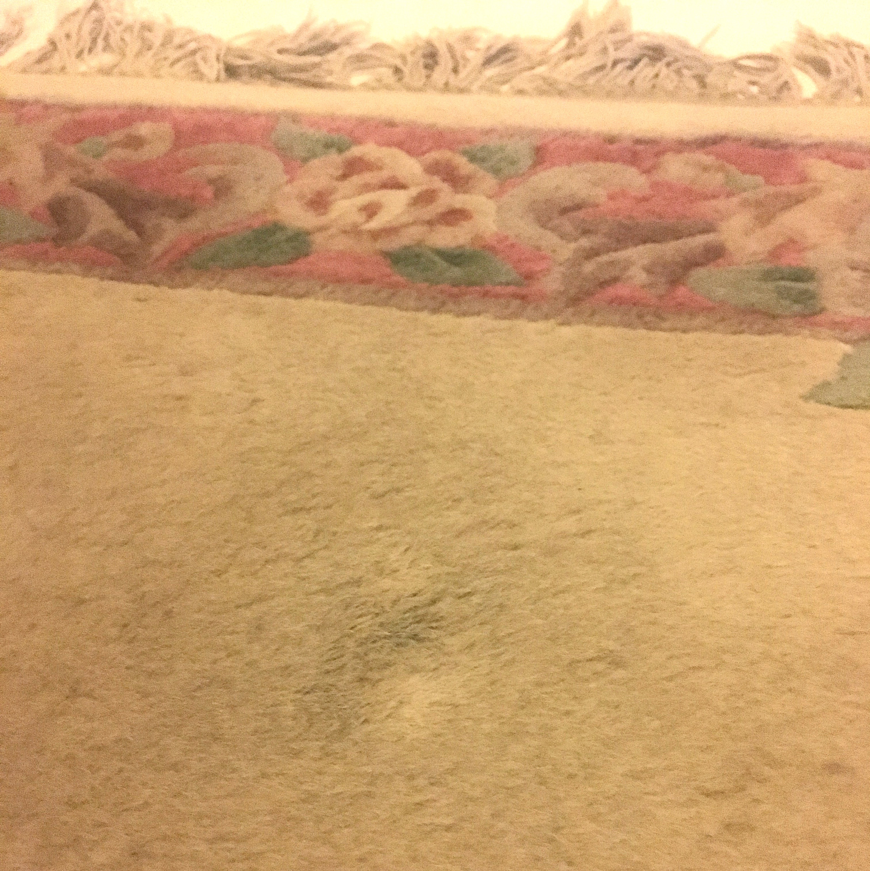 Tufted Chinese Aubusson-Style Area Rug