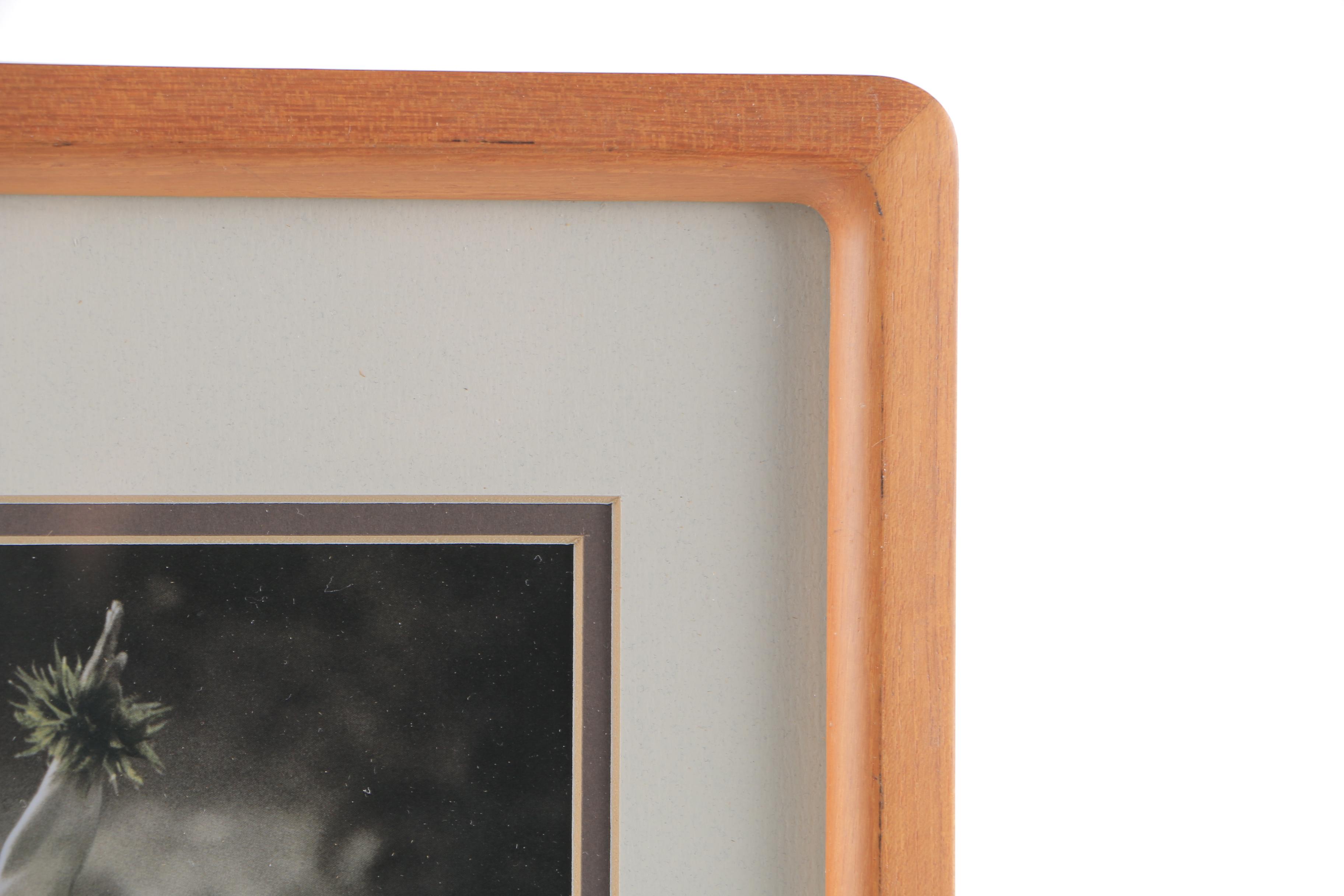 Randy Jay Brauer Signed Offset Lithograph Print "Aloha No"