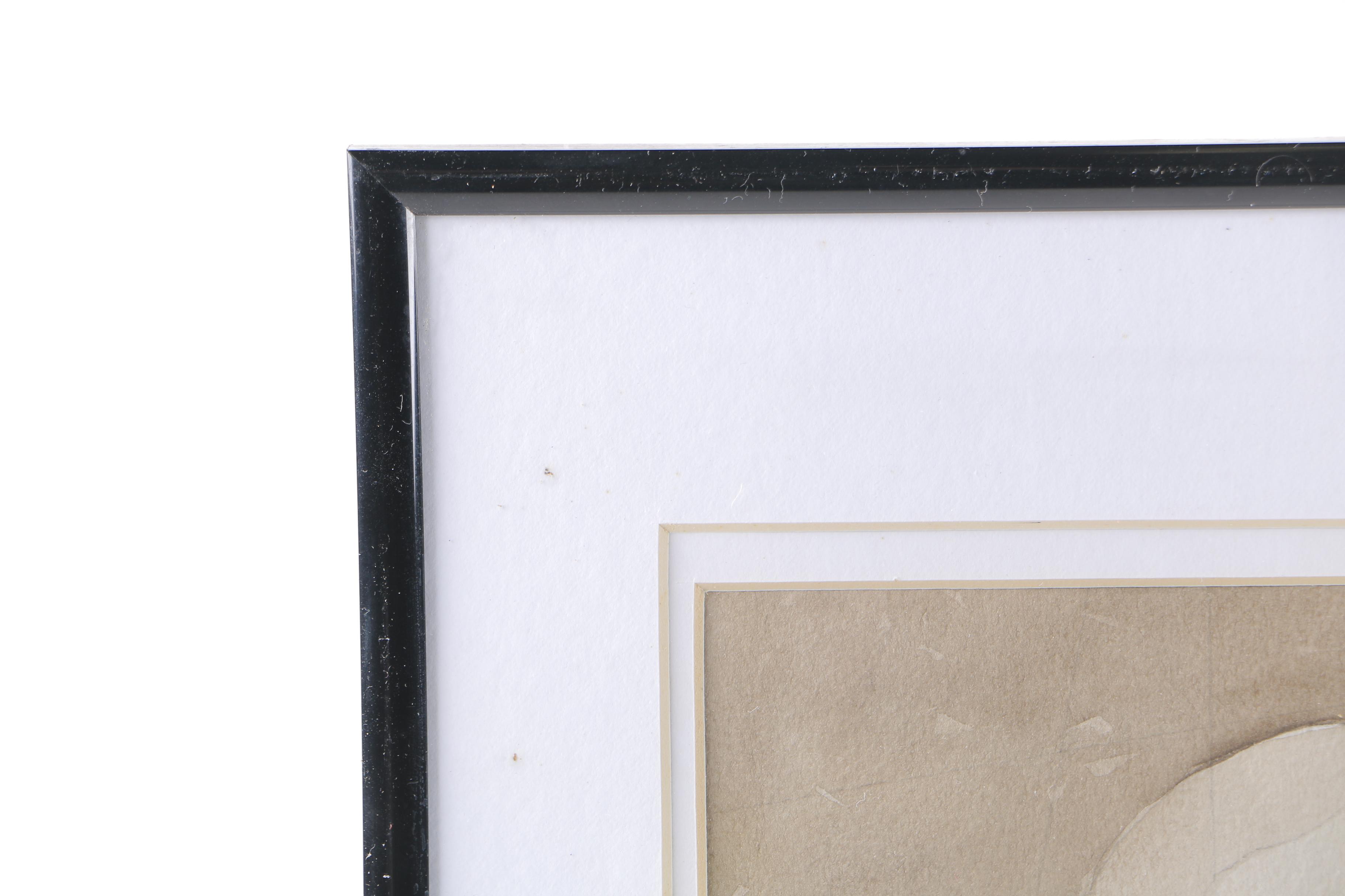 M. R. Deutsch Watercolor Paintings on Paper of Octopus