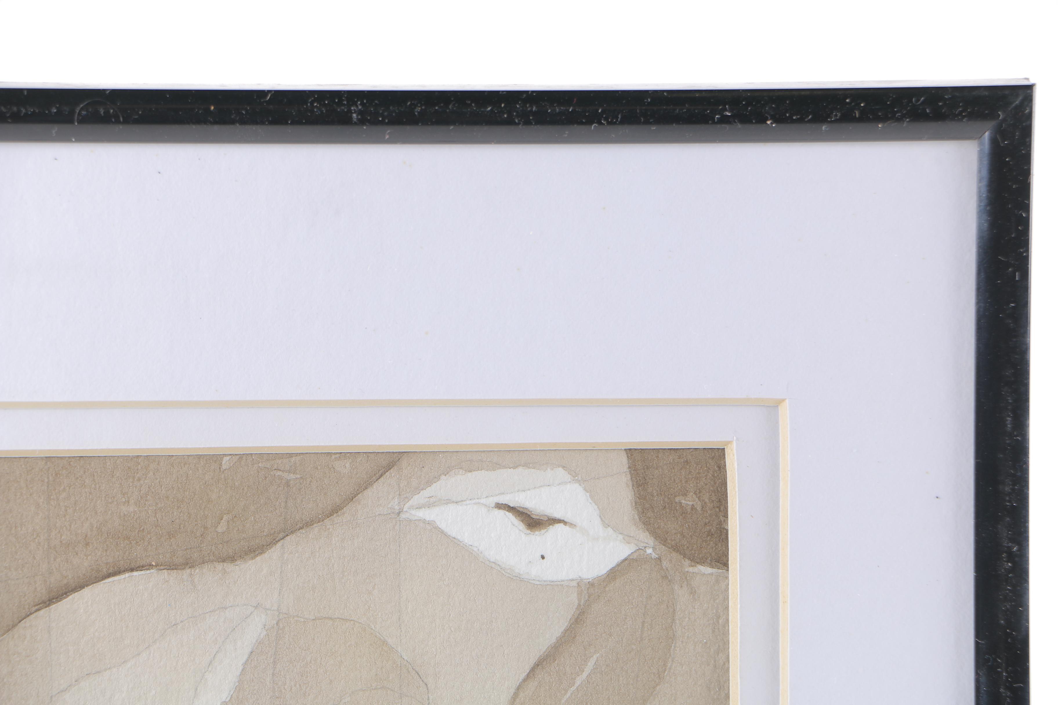 M. R. Deutsch Watercolor Paintings on Paper of Octopus