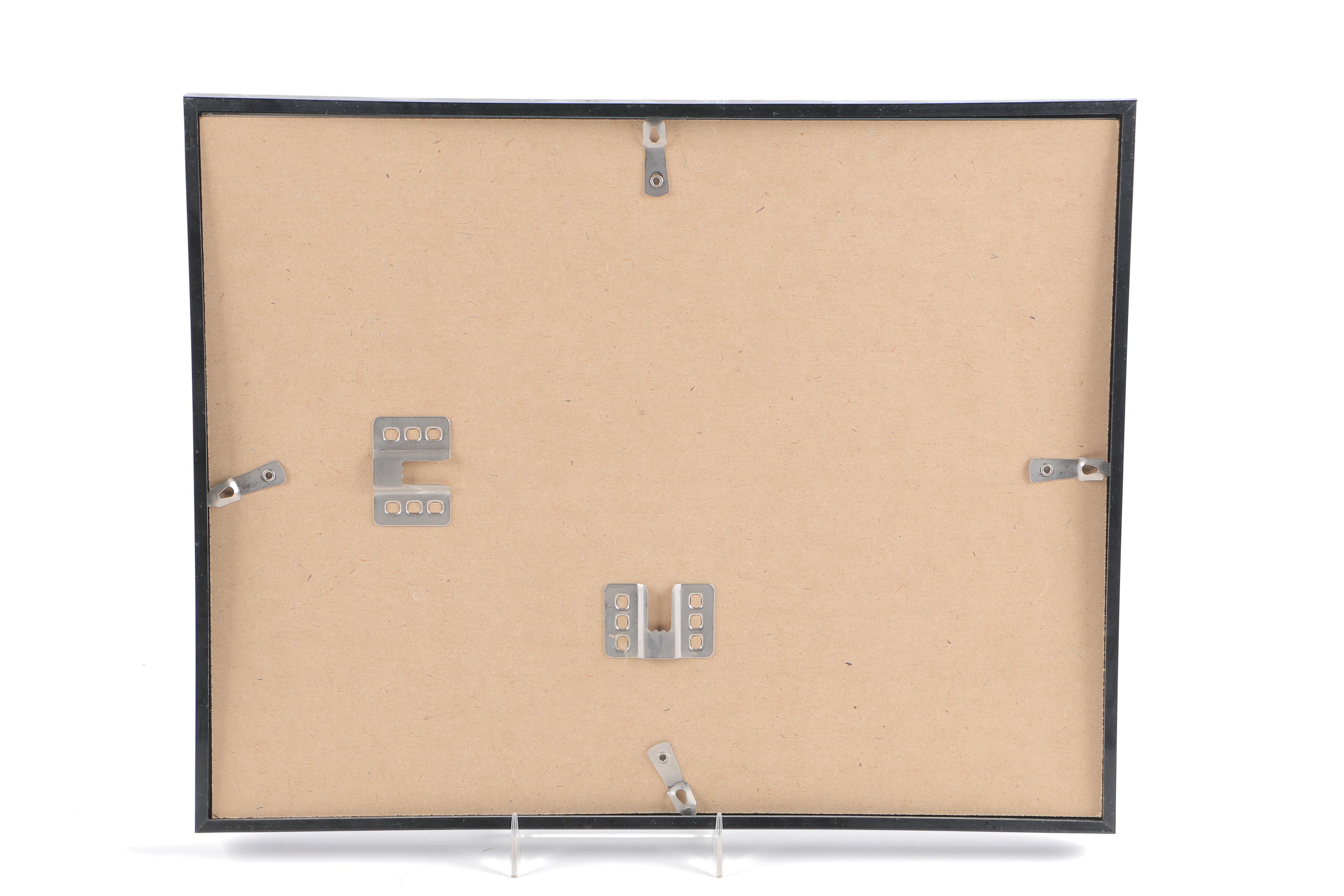 M. R. Deutsch Watercolor Paintings on Paper of Octopus