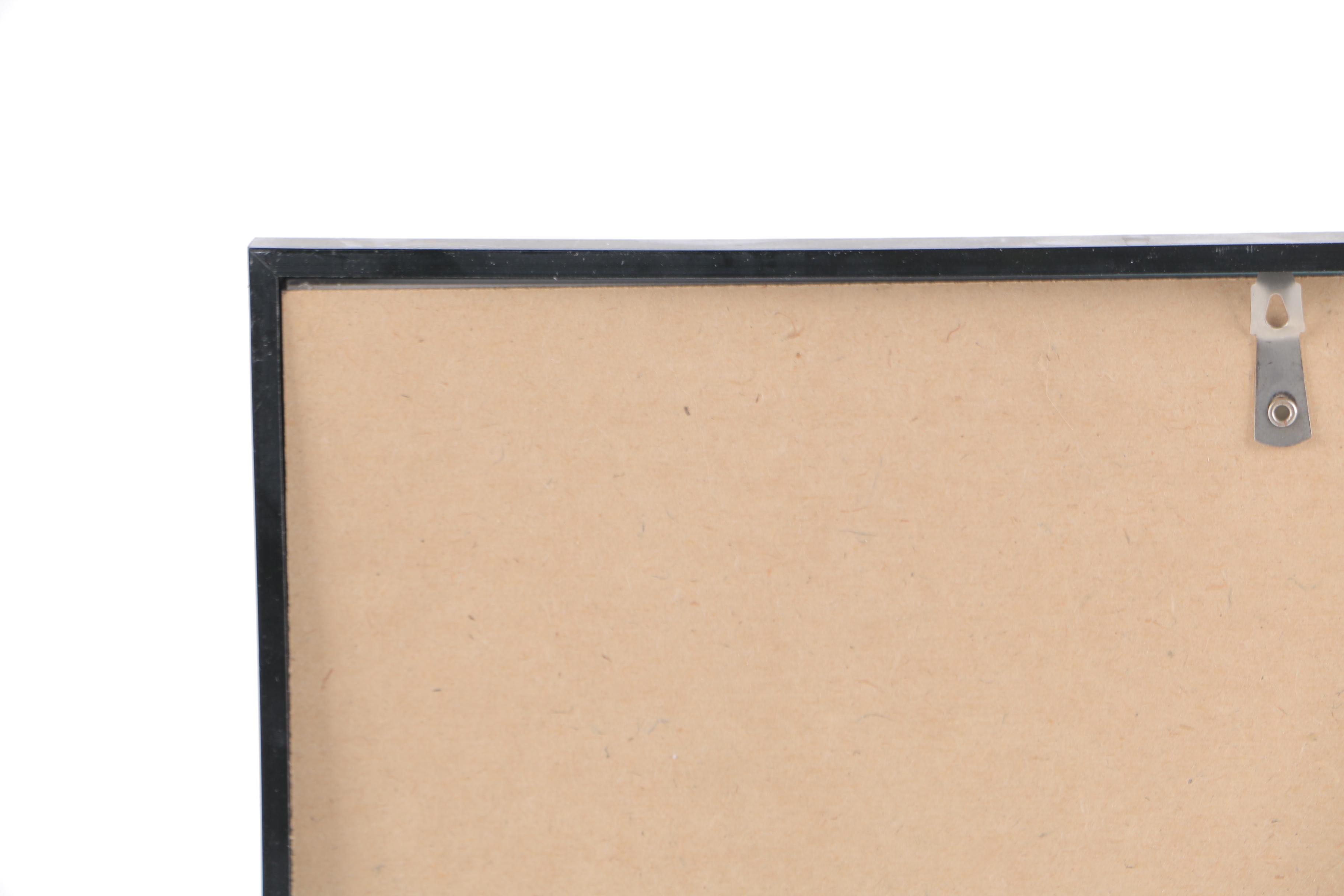 M. R. Deutsch Watercolor Paintings on Paper of Octopus