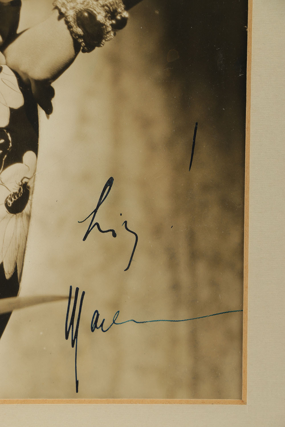 Black and White Photograph of Actress Marlene Dietrich