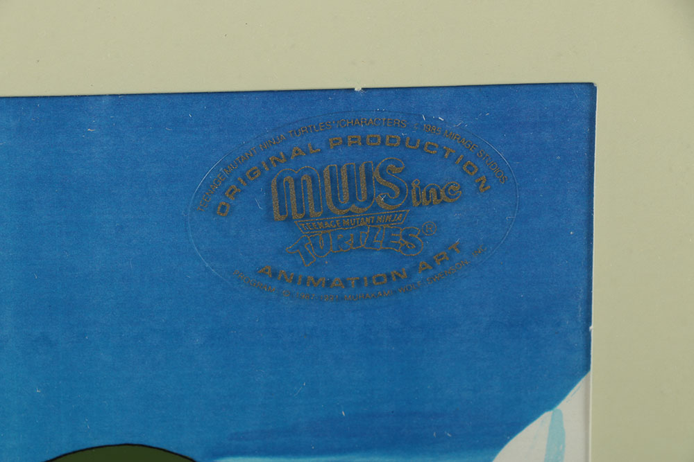Collection of Teenage Mutant Ninja Turtles Animation Sericels