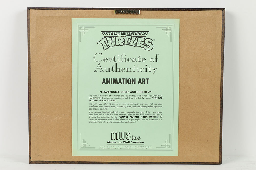 Collection of Teenage Mutant Ninja Turtles Production Cells