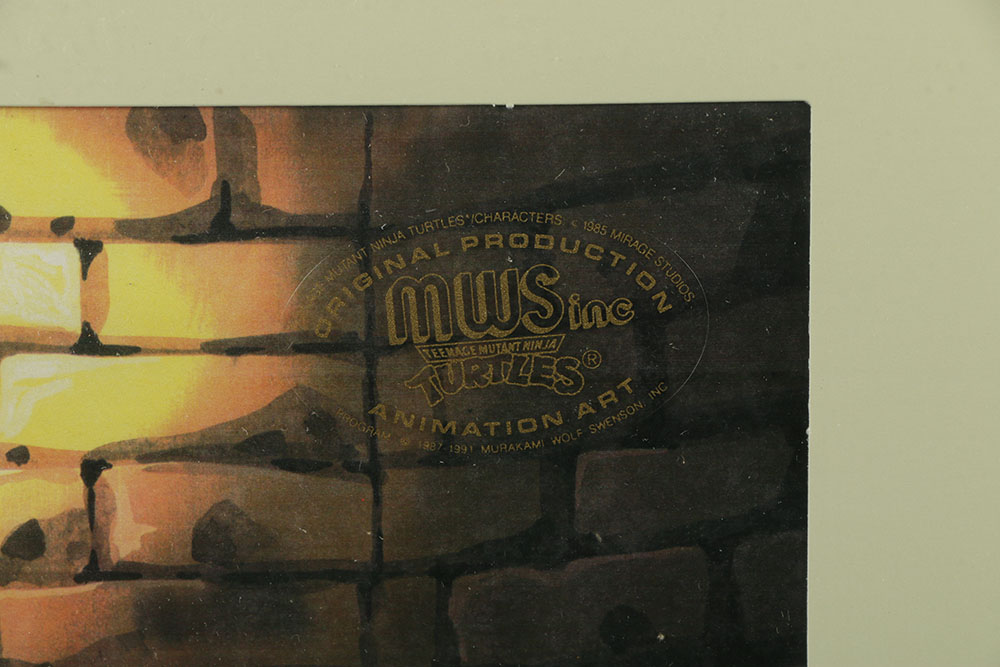 Collection of Teenage Mutant Ninja Turtles Animation Sericels
