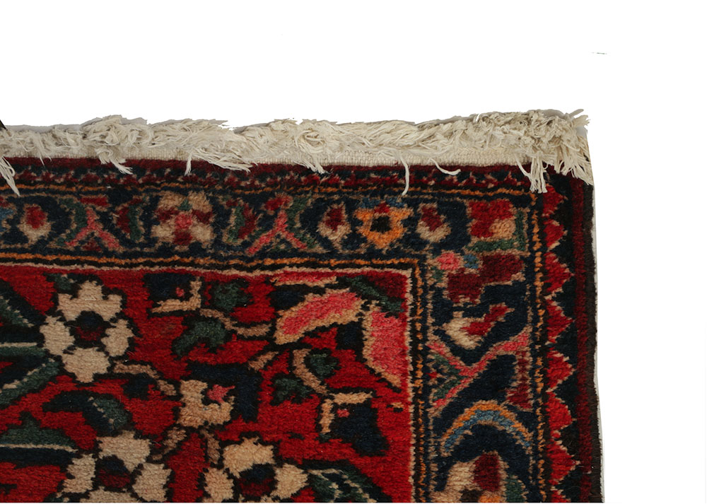 Hand-Knotted Bakhtiari Wool Area Rug