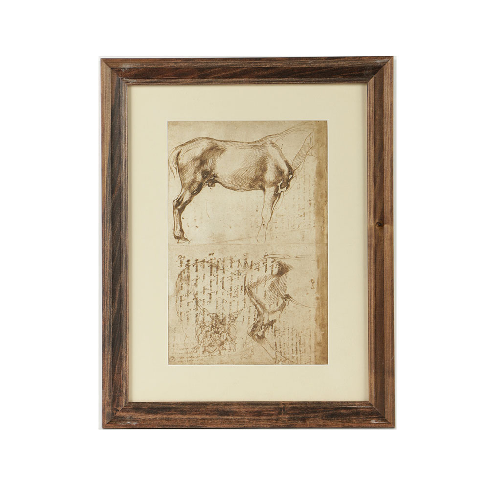 Offset Lithograph After Da Vinci's Notebook Sketches