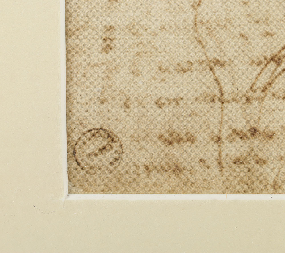 Offset Lithograph After Da Vinci's Notebook Sketches