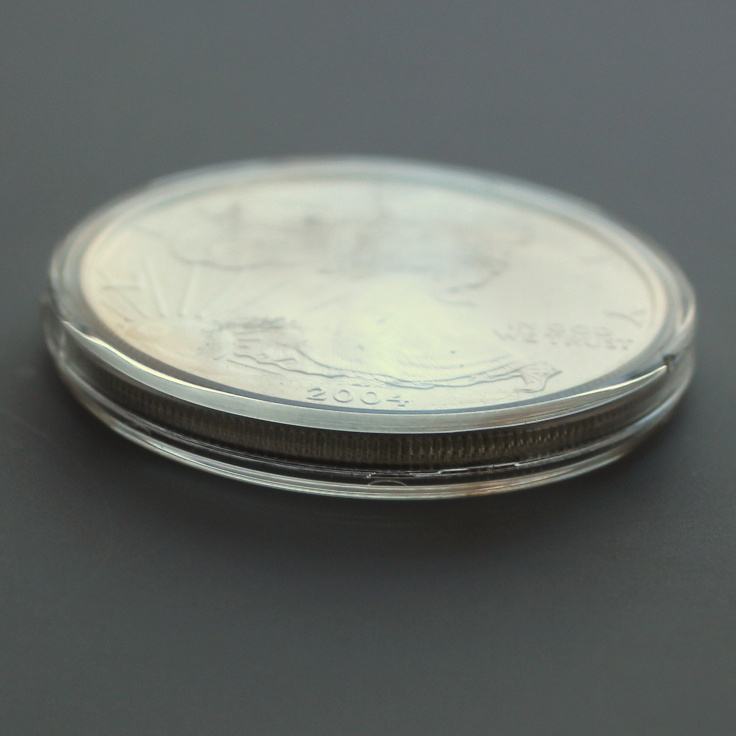 2004 American Eagle Silver Dollar