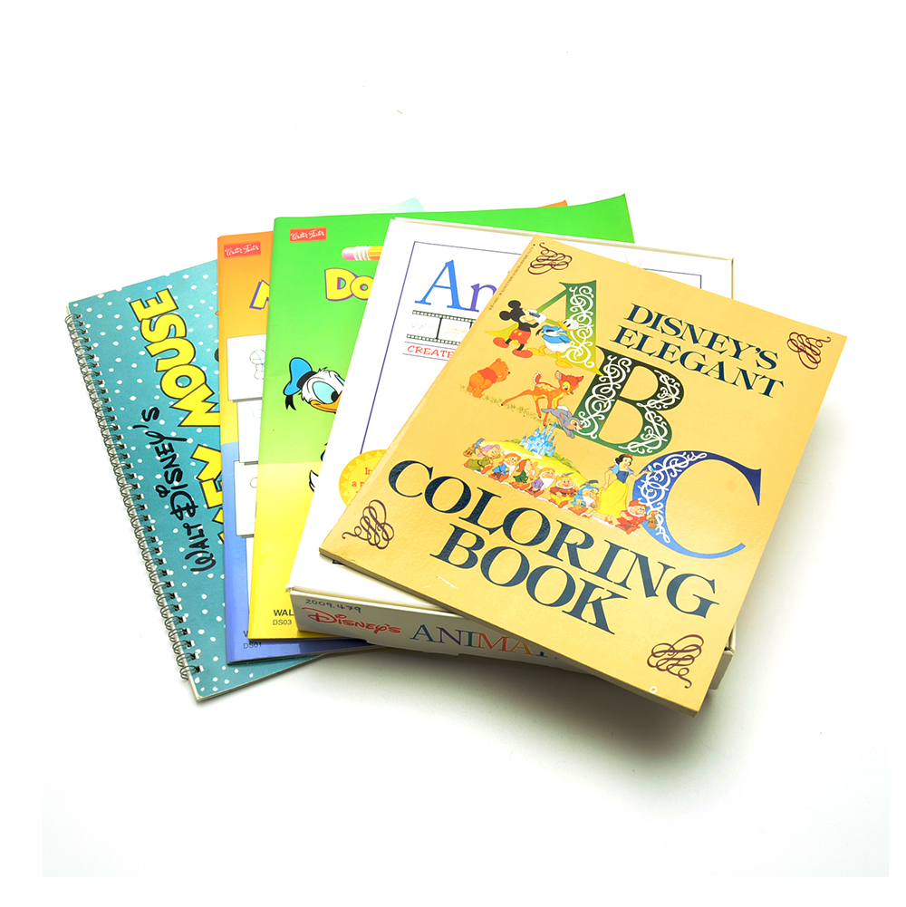 "Disney's Animation Kit" and Drawing Books