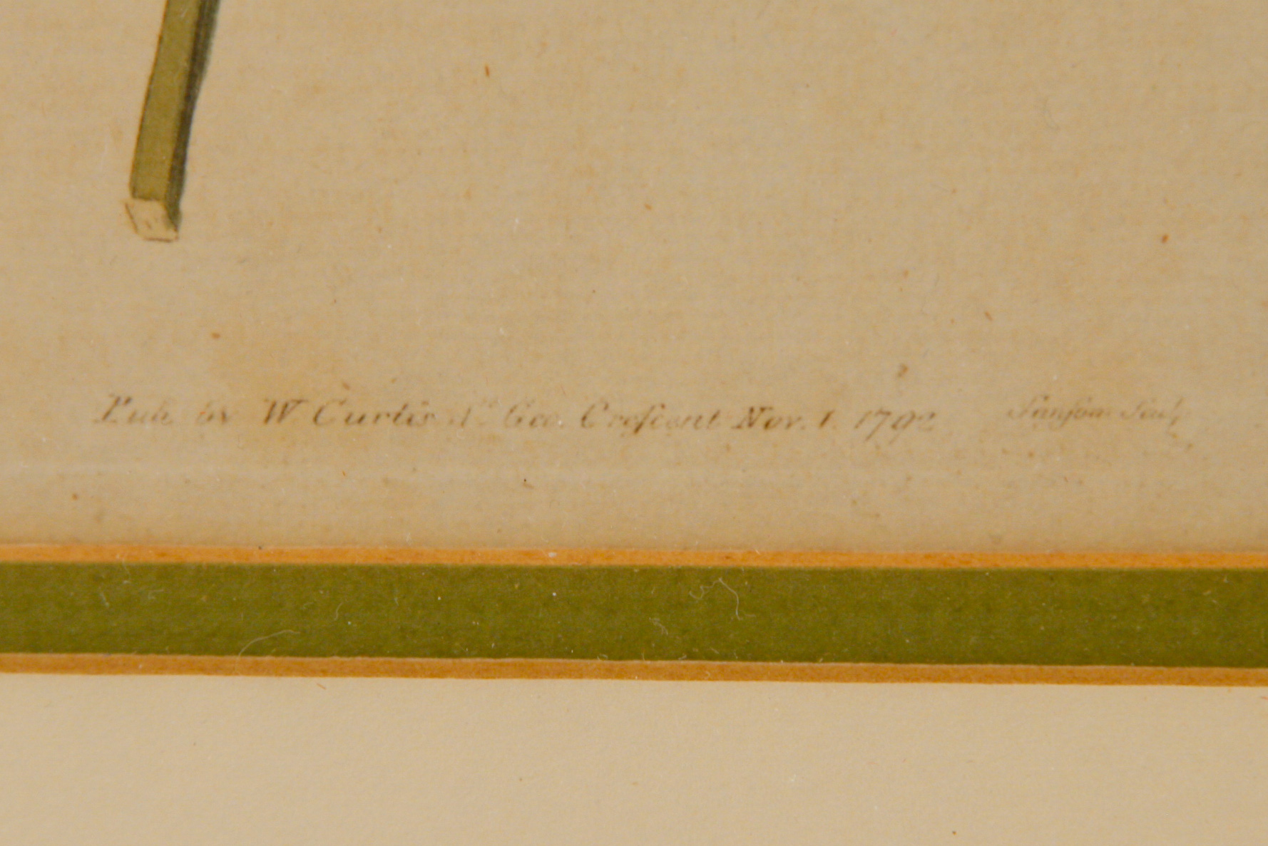 Pair of Framed W. Curtis Botanic Garden Magazine Hand-Colored Engravings