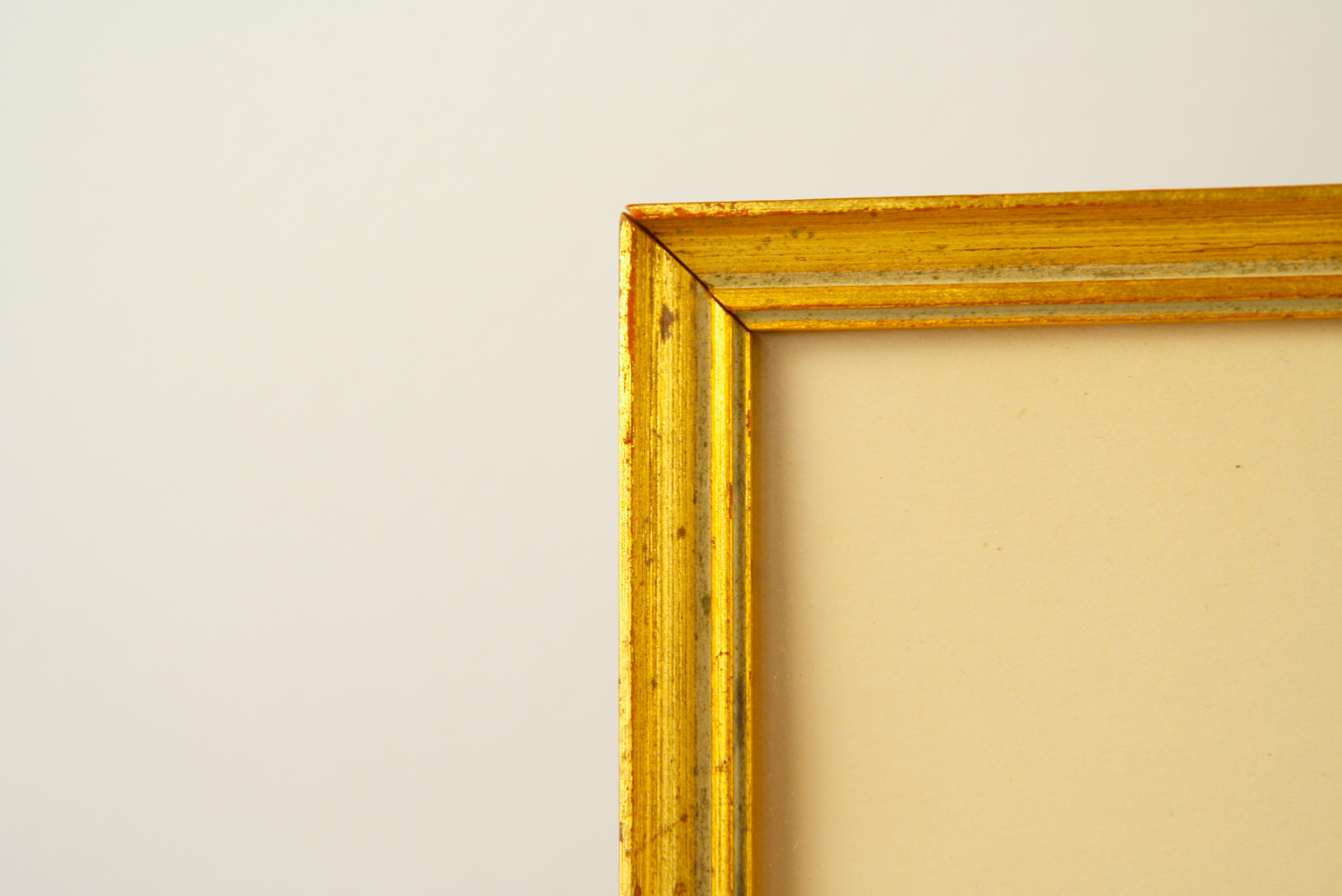 Pair of Framed W. Curtis Botanic Garden Magazine Hand-Colored Engravings