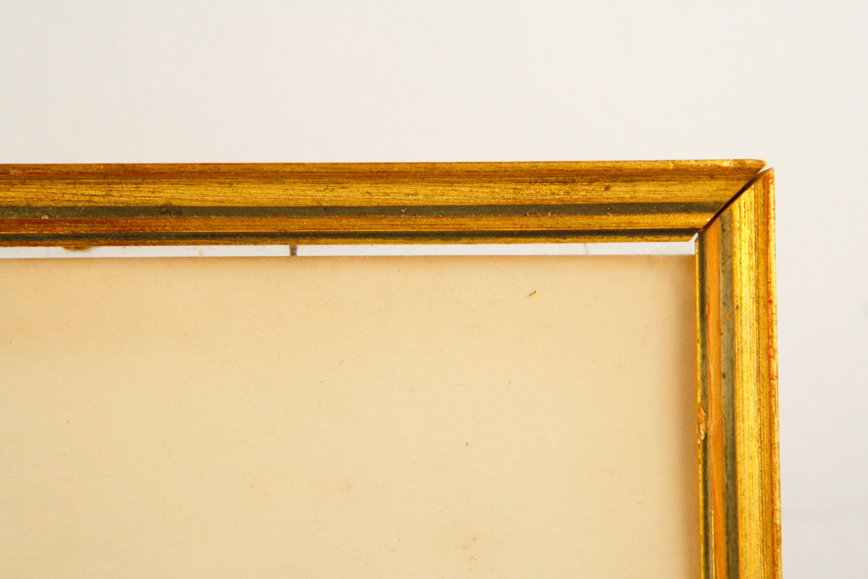 Pair of Framed W. Curtis Botanic Garden Magazine Hand-Colored Engravings