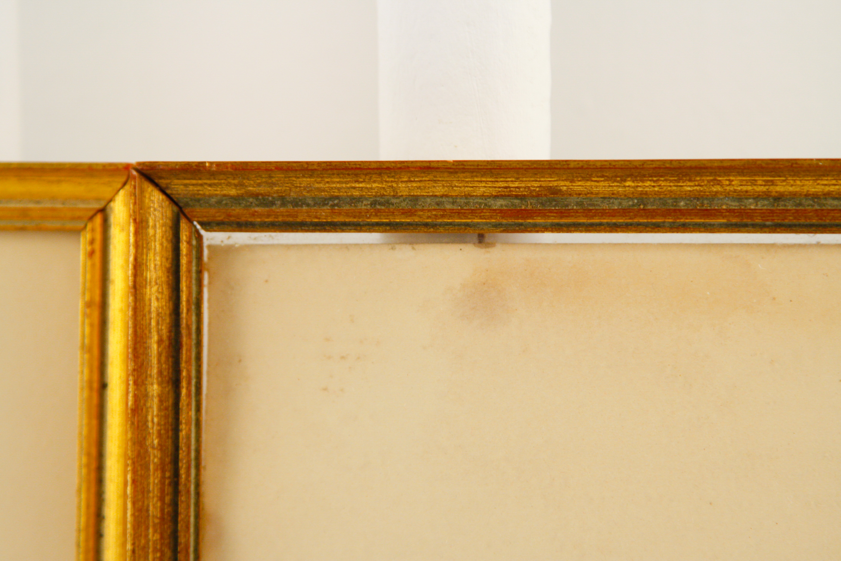 Pair of Framed W. Curtis Botanic Garden Magazine Hand-Colored Engravings