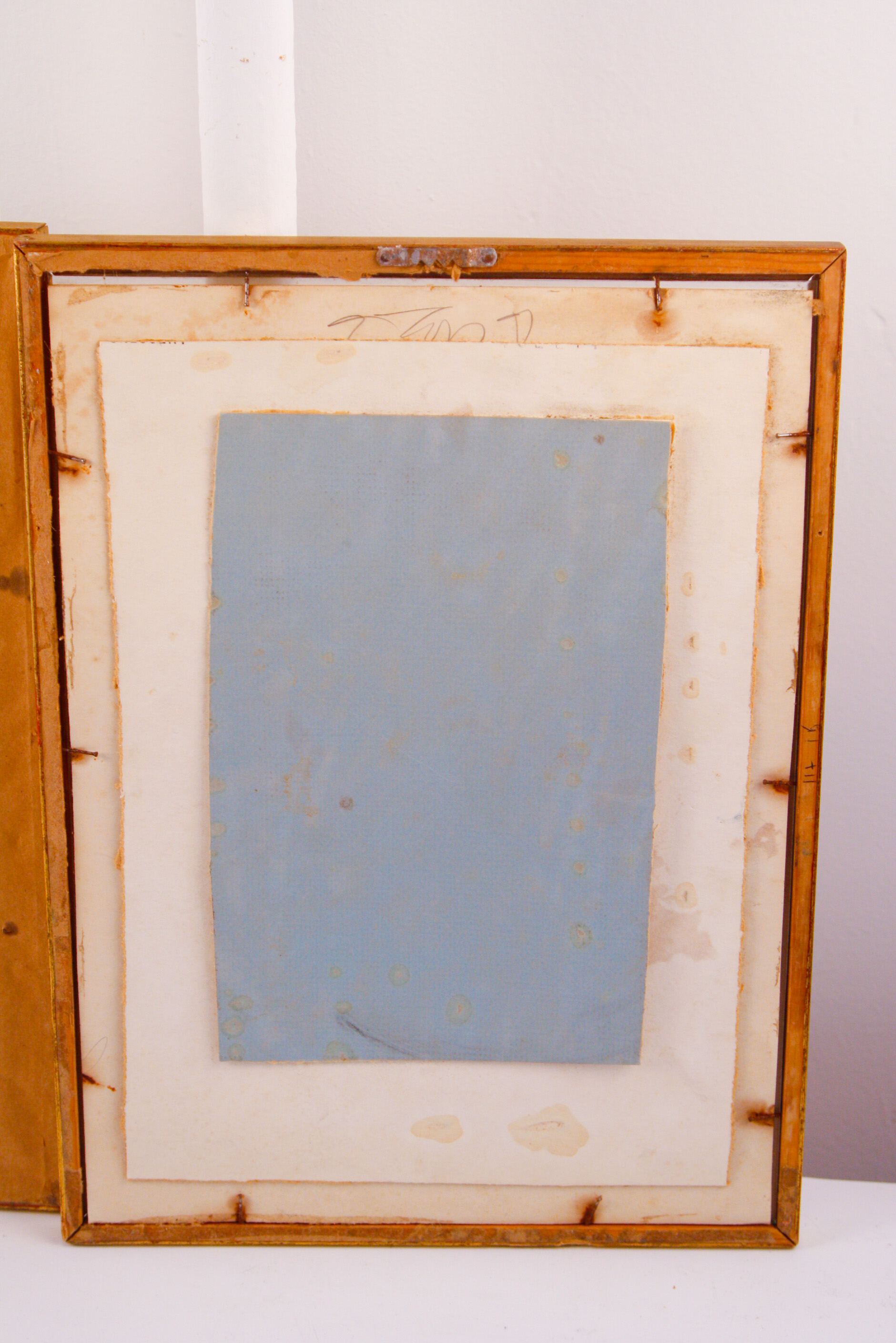 Pair of Framed W. Curtis Botanic Garden Magazine Hand-Colored Engravings