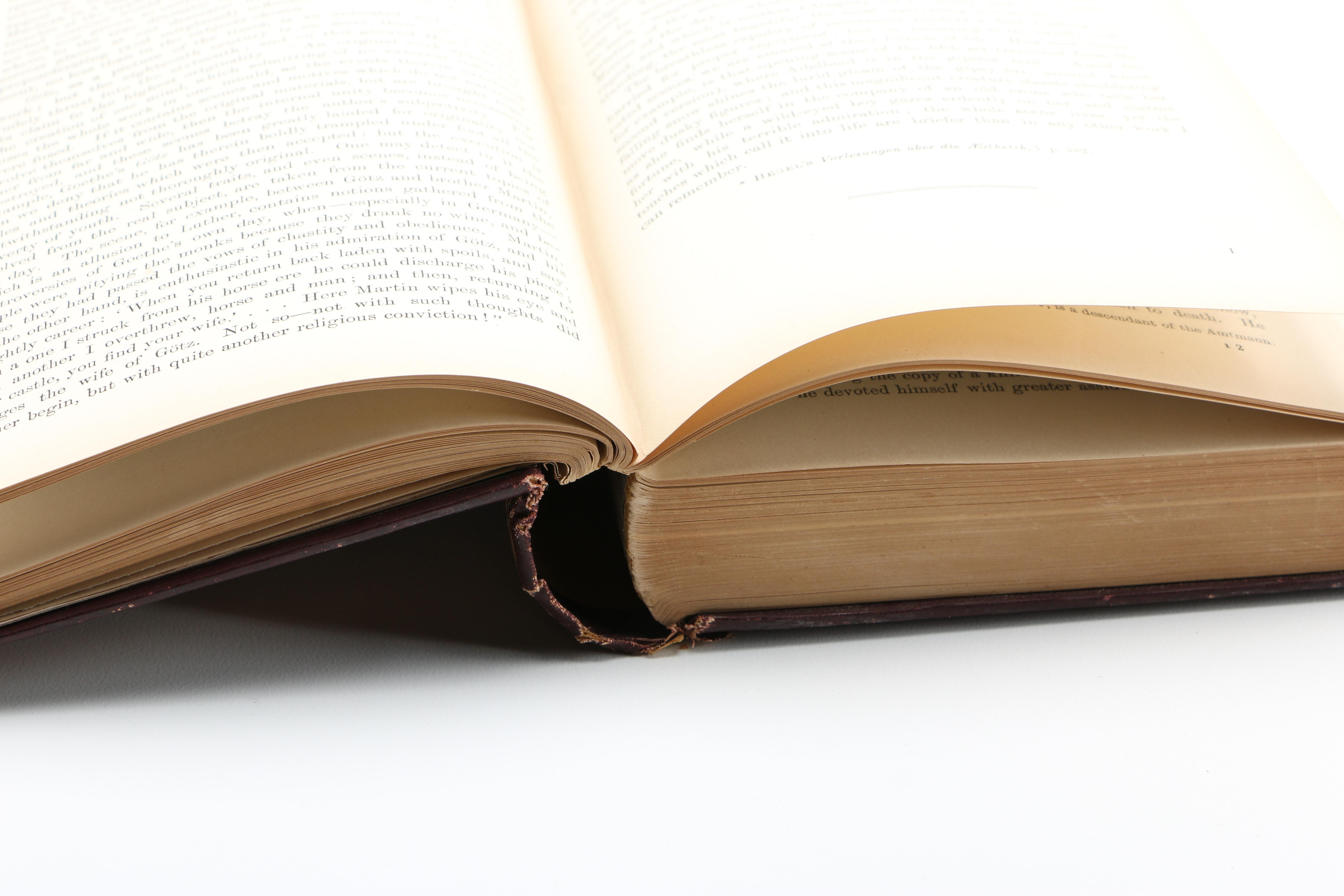 Antique 1890 "The Life of Goethe" by George Henry Lewes