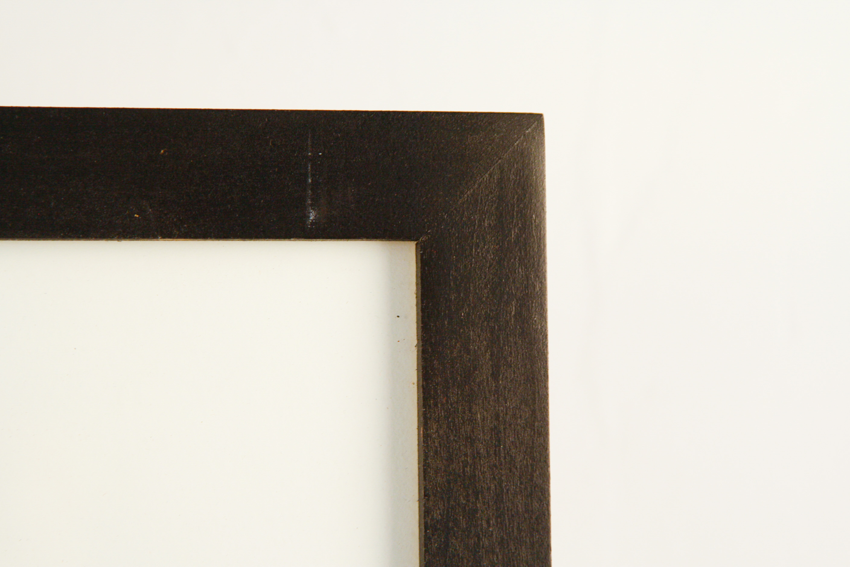 Framed Chromogenic Photograph of a Grass Stalk Blowing in the Wind