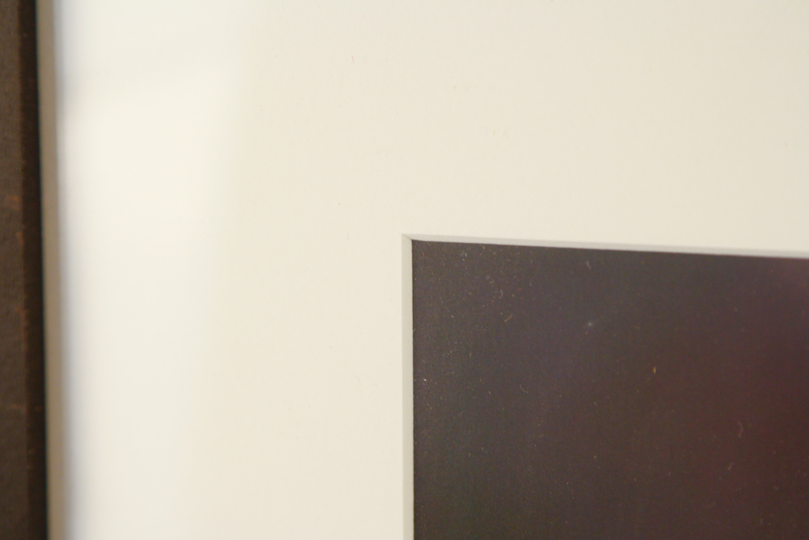 Framed Chromogenic Photograph of a Grass Stalk Blowing in the Wind