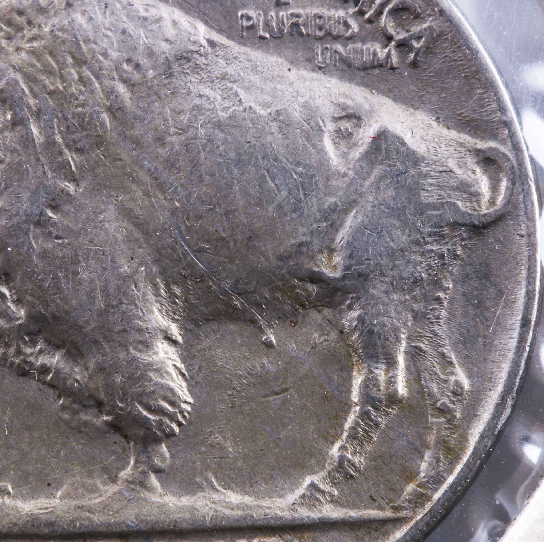 1937 D Three Legged Buffalo Nickel