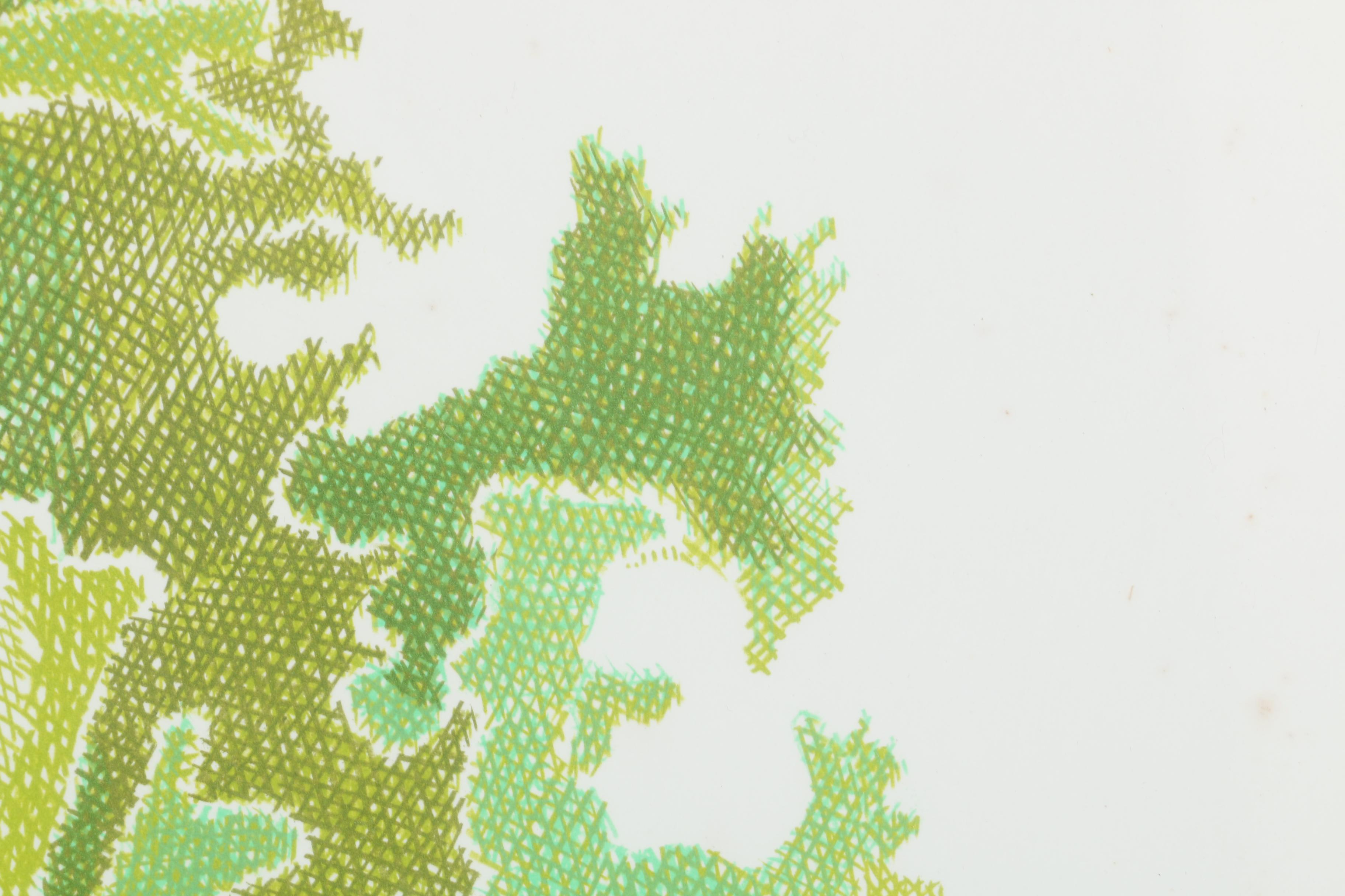 Laura Grosch Limited Edition Lithograph "Borchelt Lettuce"