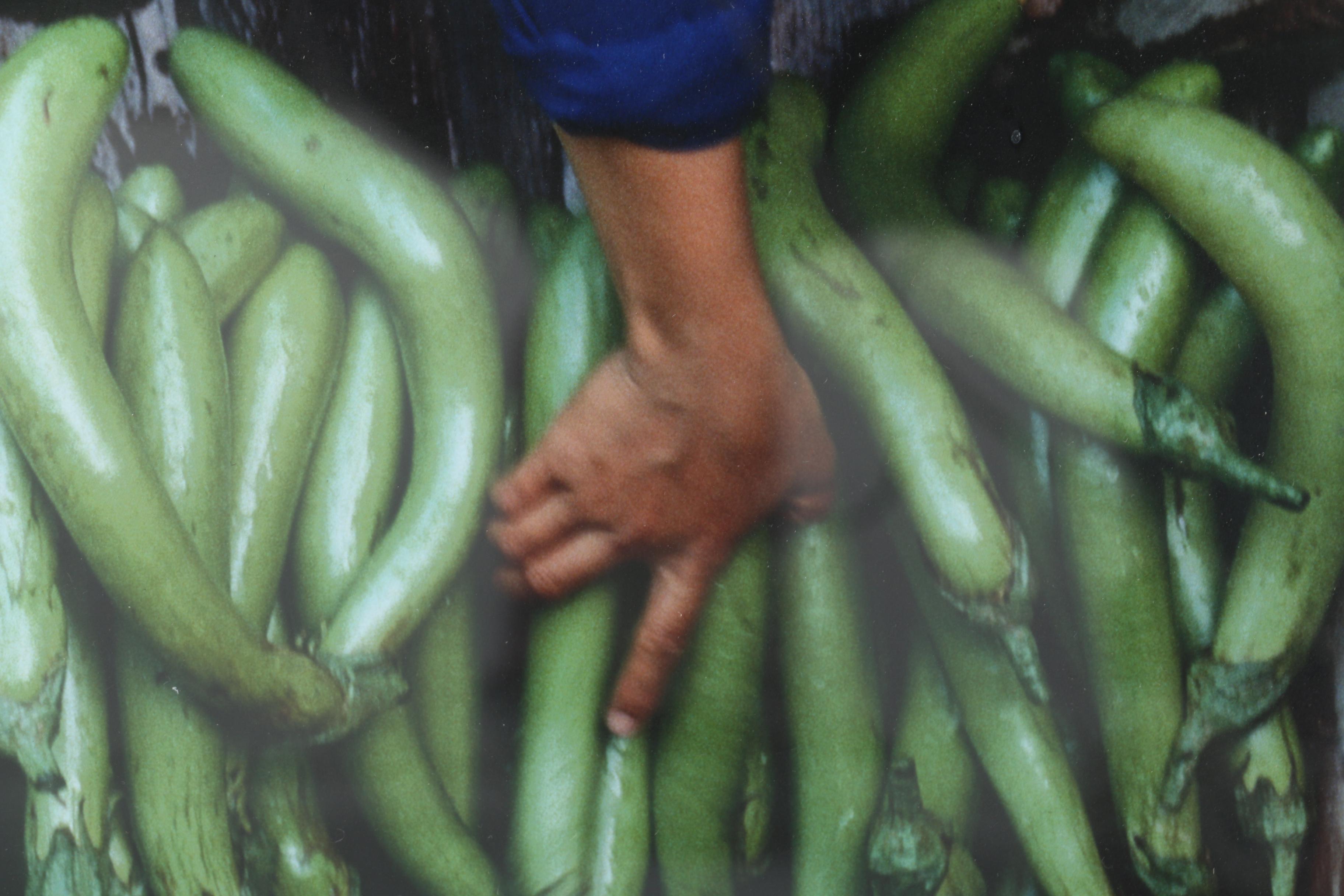 Emerson Matabele Limited Edition Photograph "Aubergine"