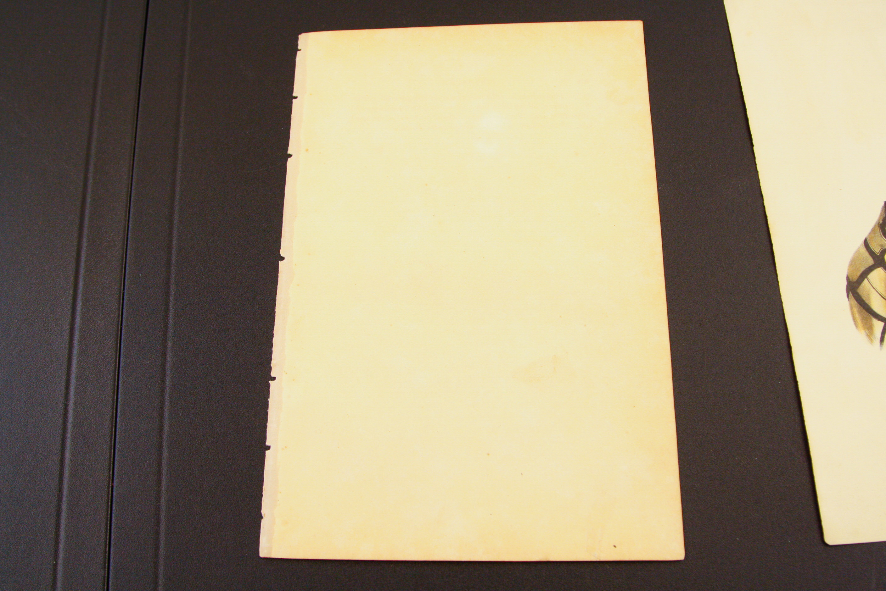 Pair of McKenney and Hall Hand-Colored Folio Lithographs of Native Americans