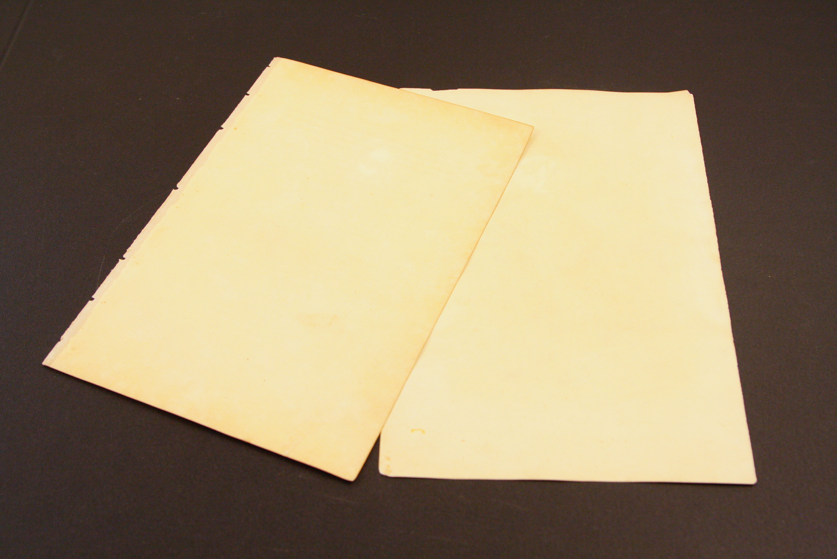 Pair of McKenney and Hall Hand-Colored Folio Lithographs of Native Americans