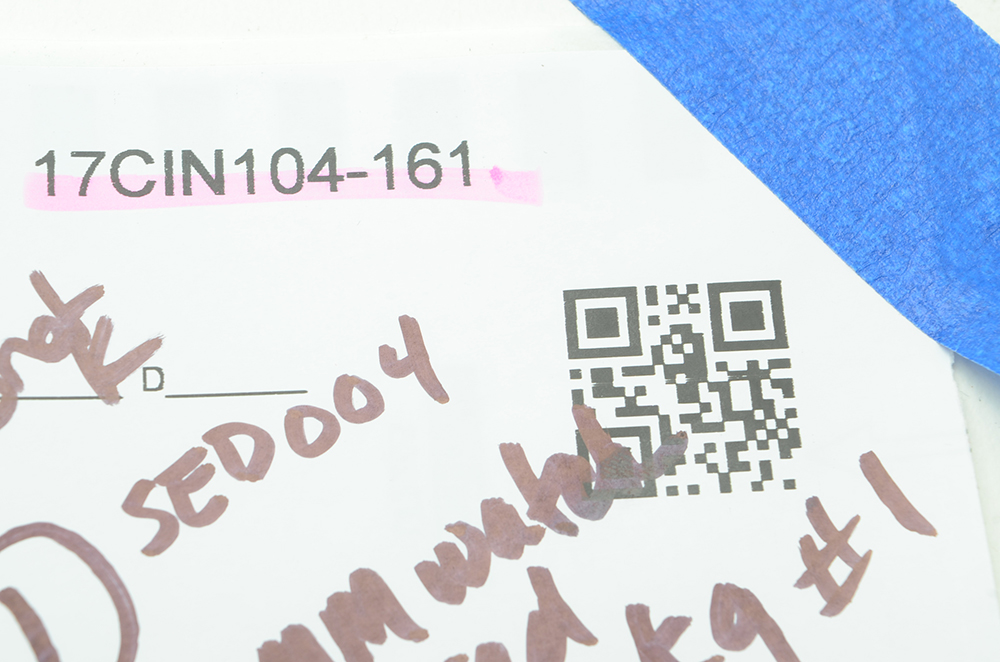 Disneyland's Club 33 Watch