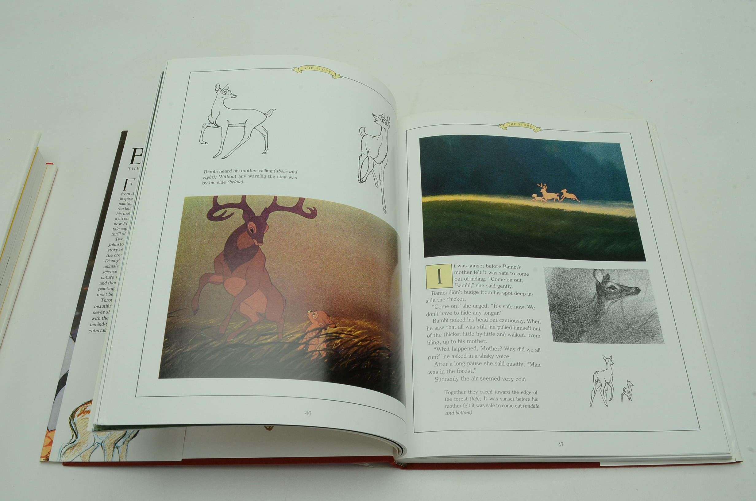 Ollie Johnston and Frank Thomas Books Including Signed Books