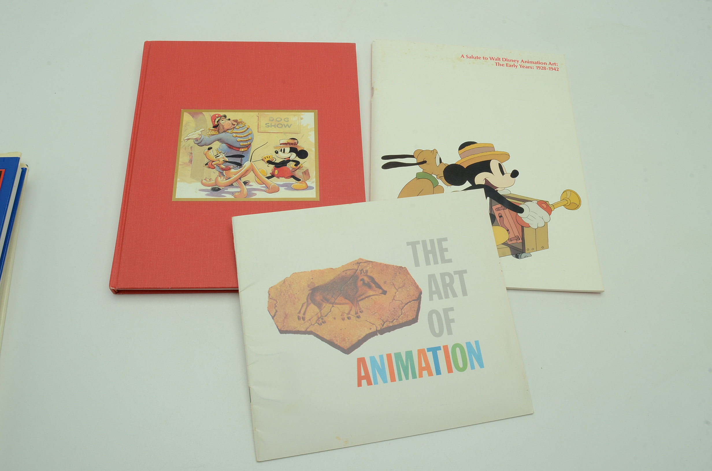 Disney Art Books