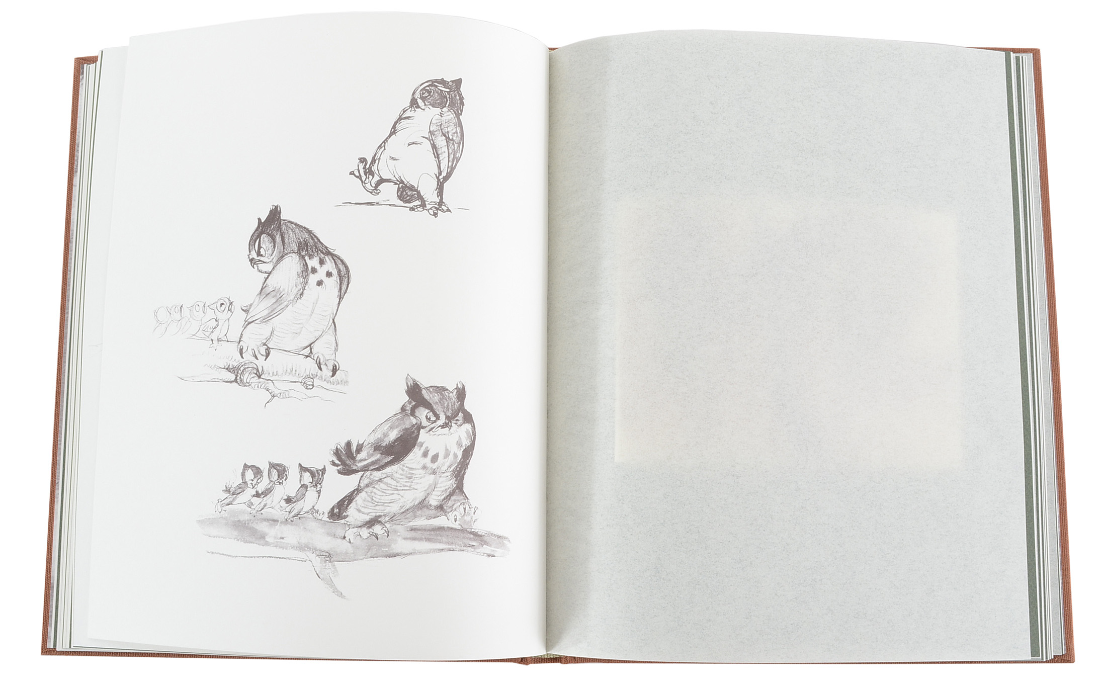 Limited Edition "Walt Disney's Bambi: The Sketchbook Series"