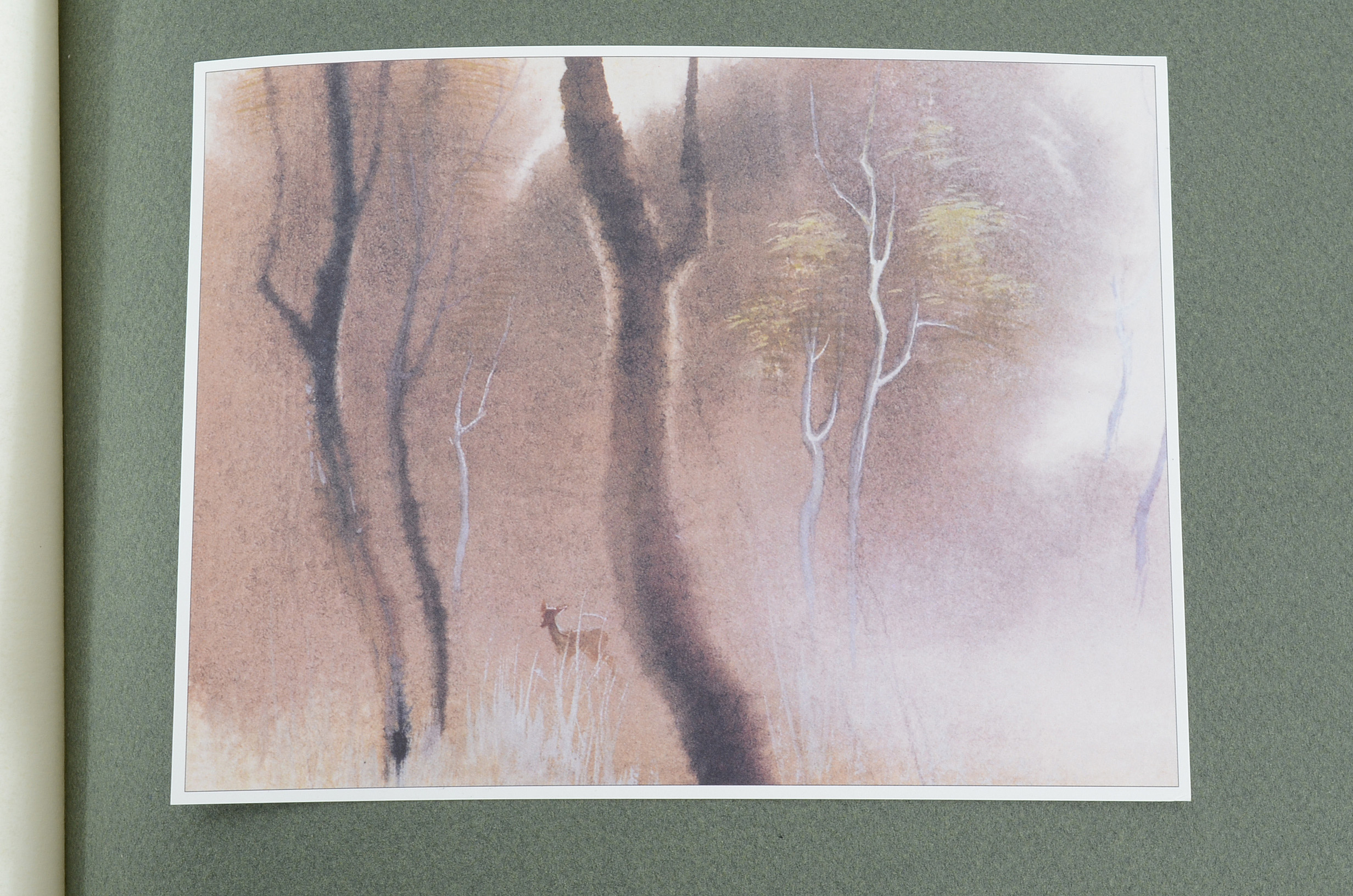 Limited Edition "Walt Disney's Bambi: The Sketchbook Series"