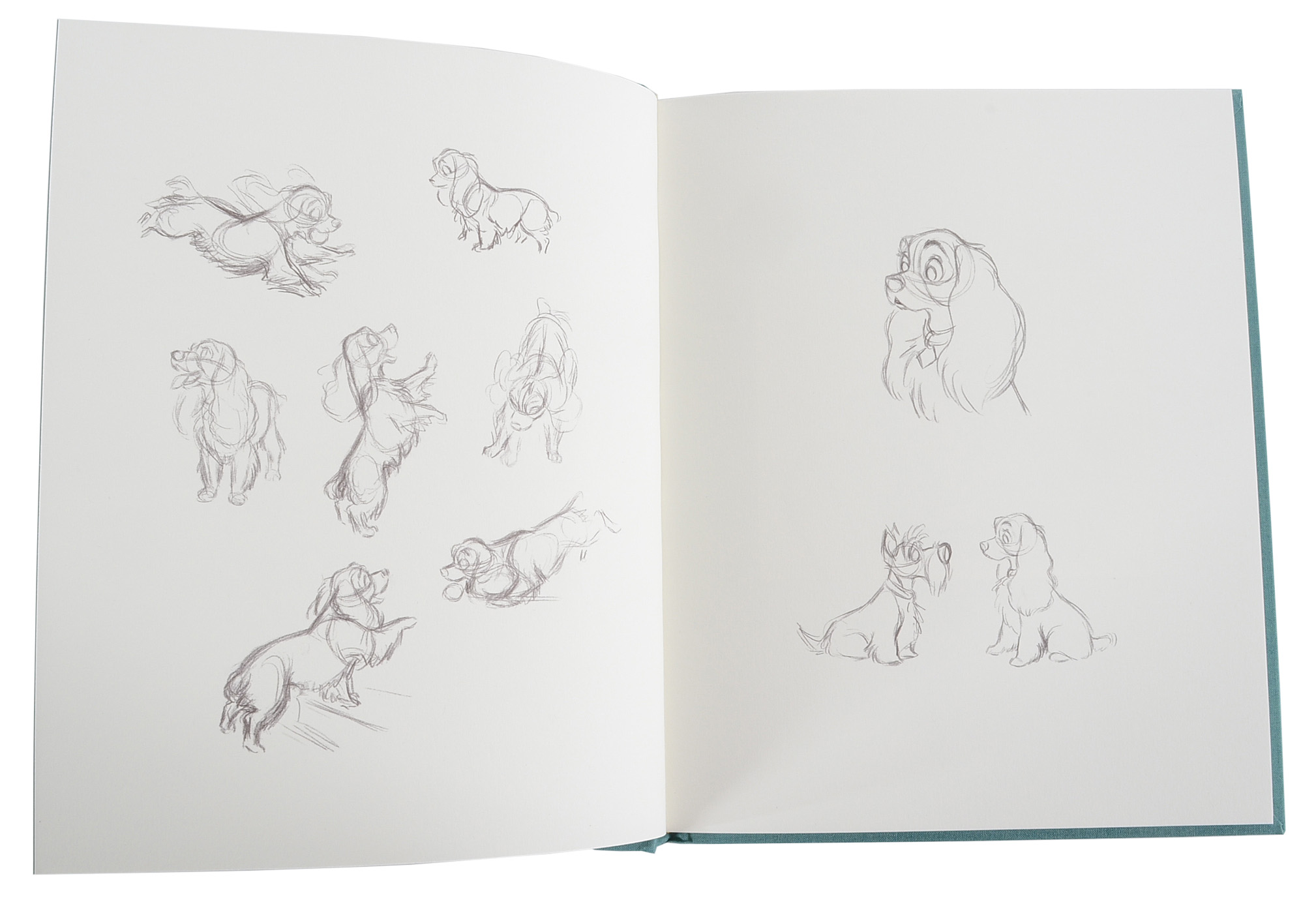 Hardcover Lady and The Tramp Limited Edition Sketch Book Series