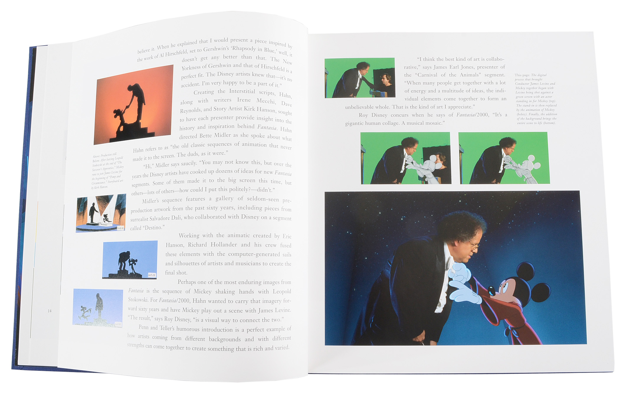 "Fantasia 2000: Visions of Hope" Signed by Seven Directors and Animators