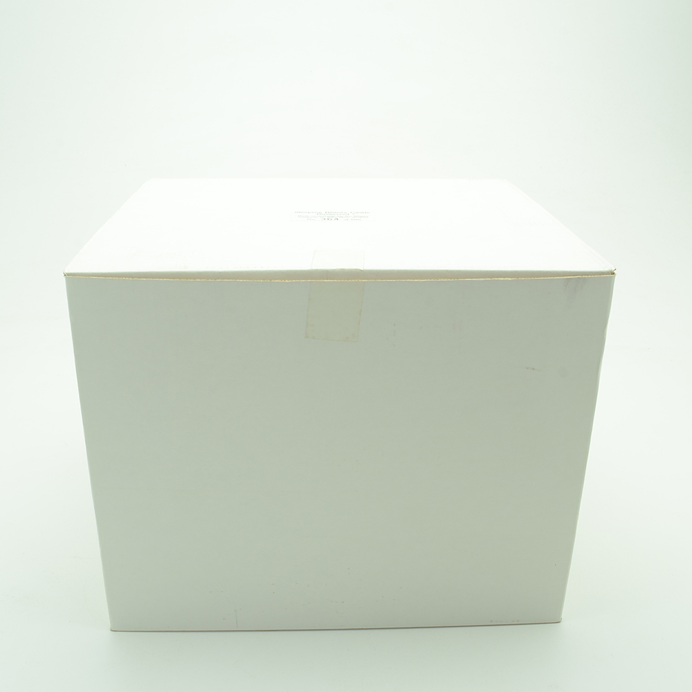 Walt Disney 1993 "Sleeping Beauty Castle"