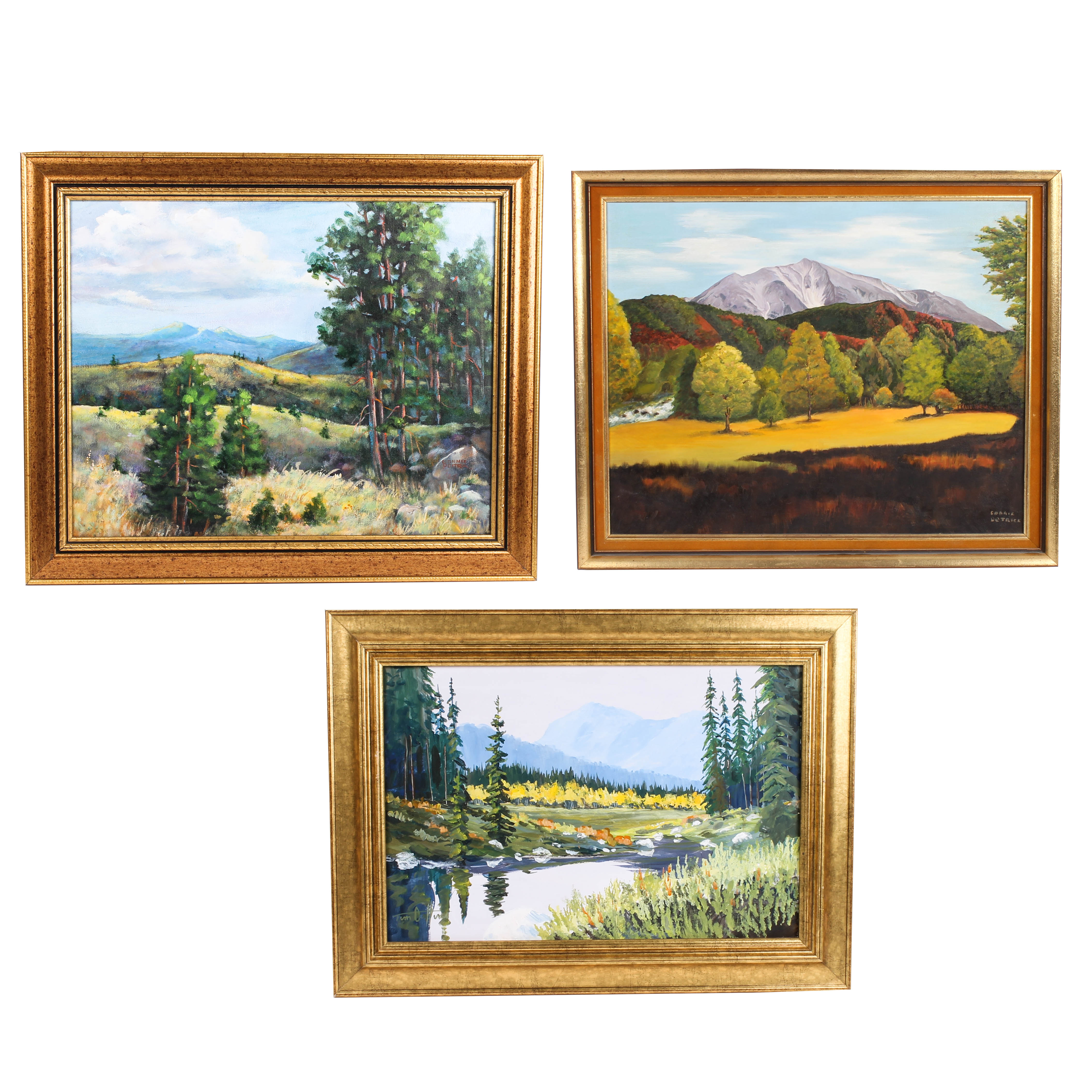 Collection of Acrylic and Oil Landscape Paintings by Various Artists