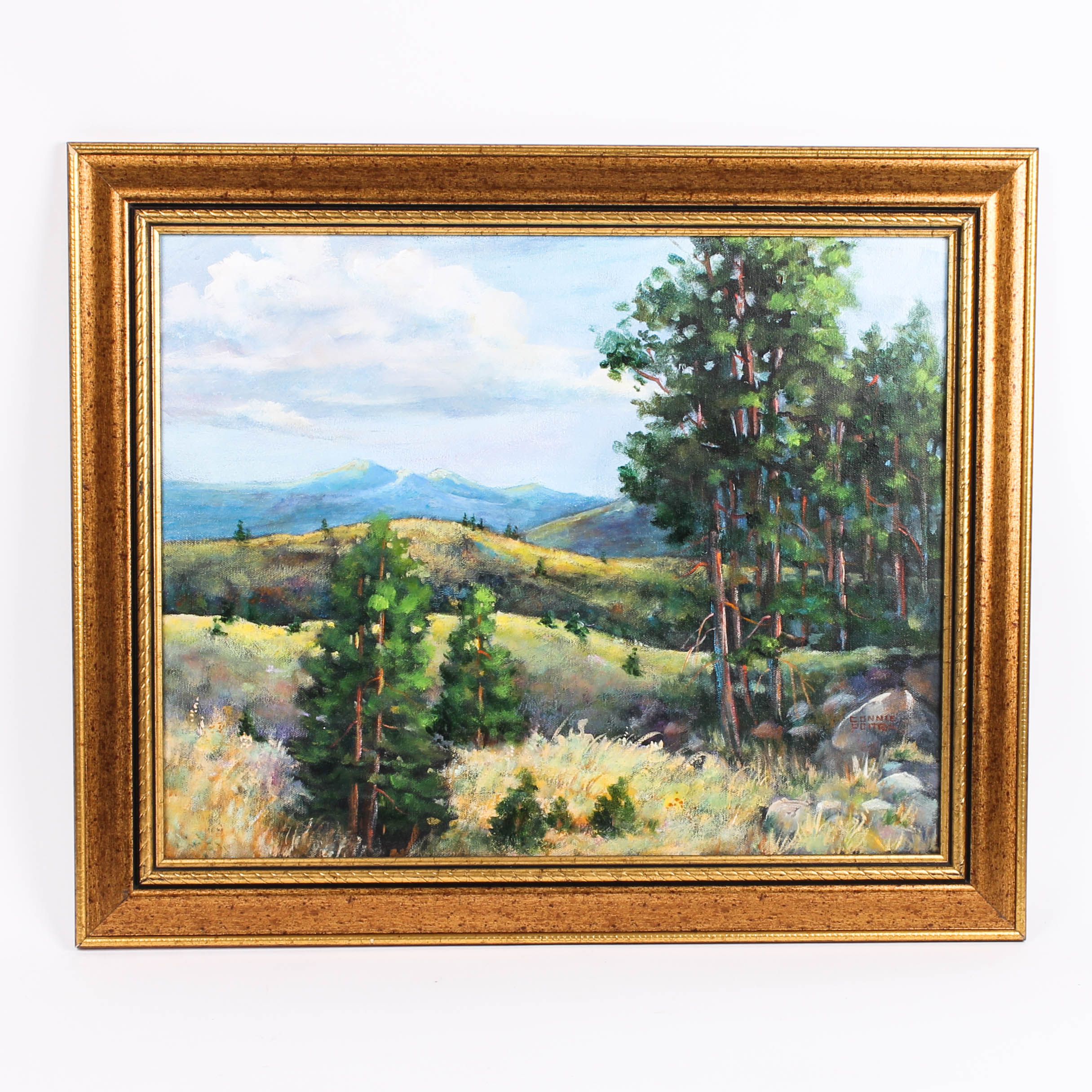 Collection of Acrylic and Oil Landscape Paintings by Various Artists